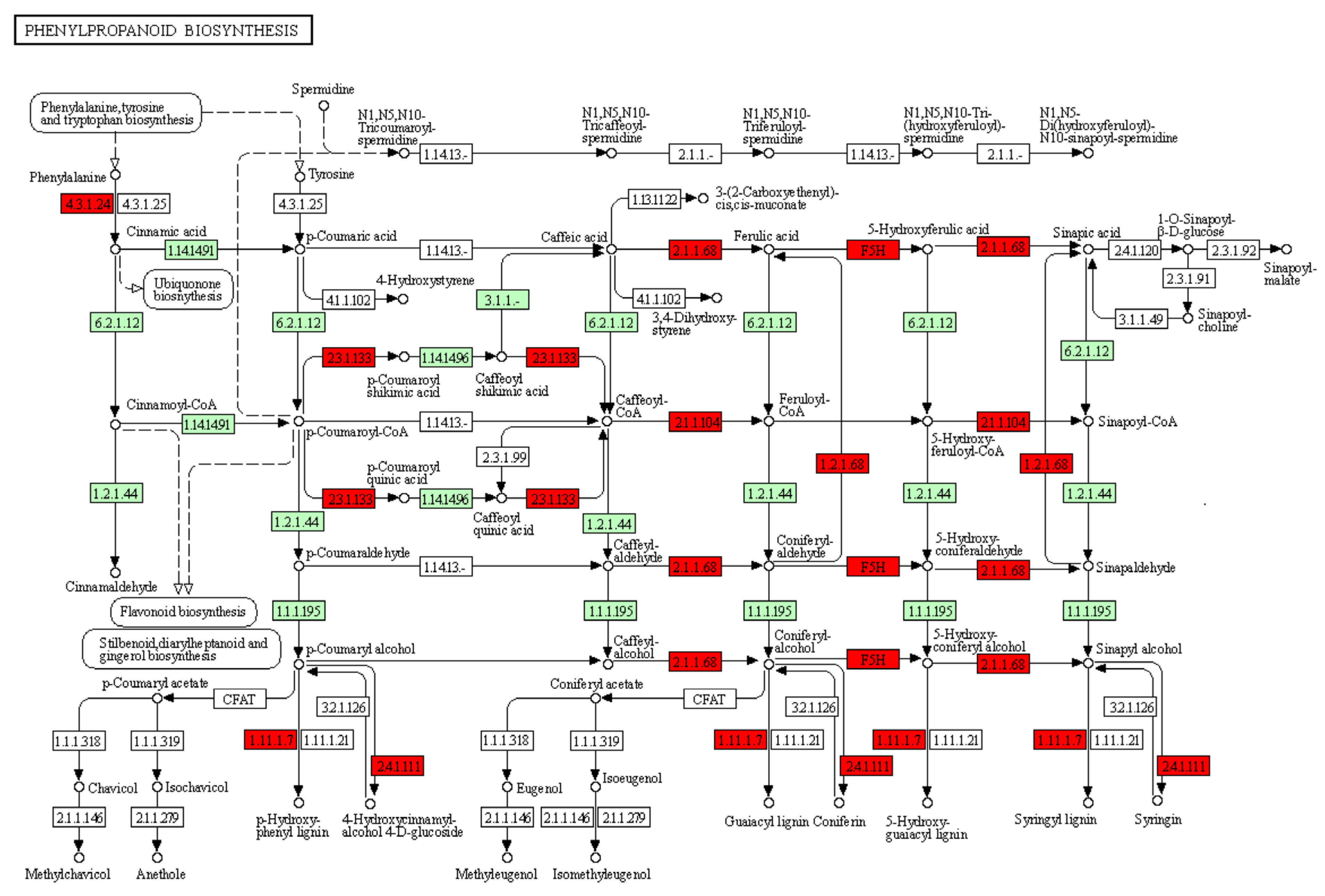 Ijms 24 10563 g004 Ijms 24 10563 g004