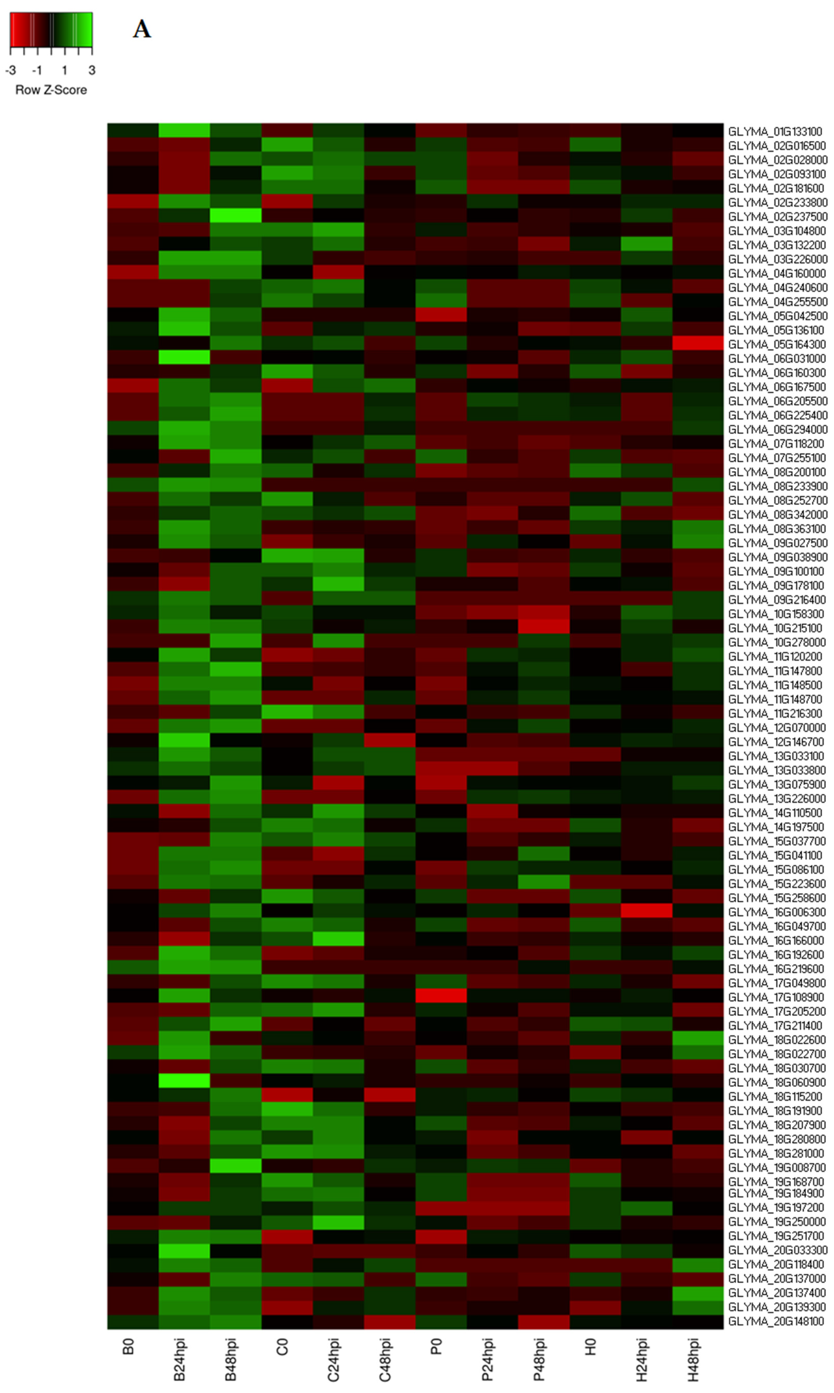 Ijms 24 10563 g007a Ijms 24 10563 g007a