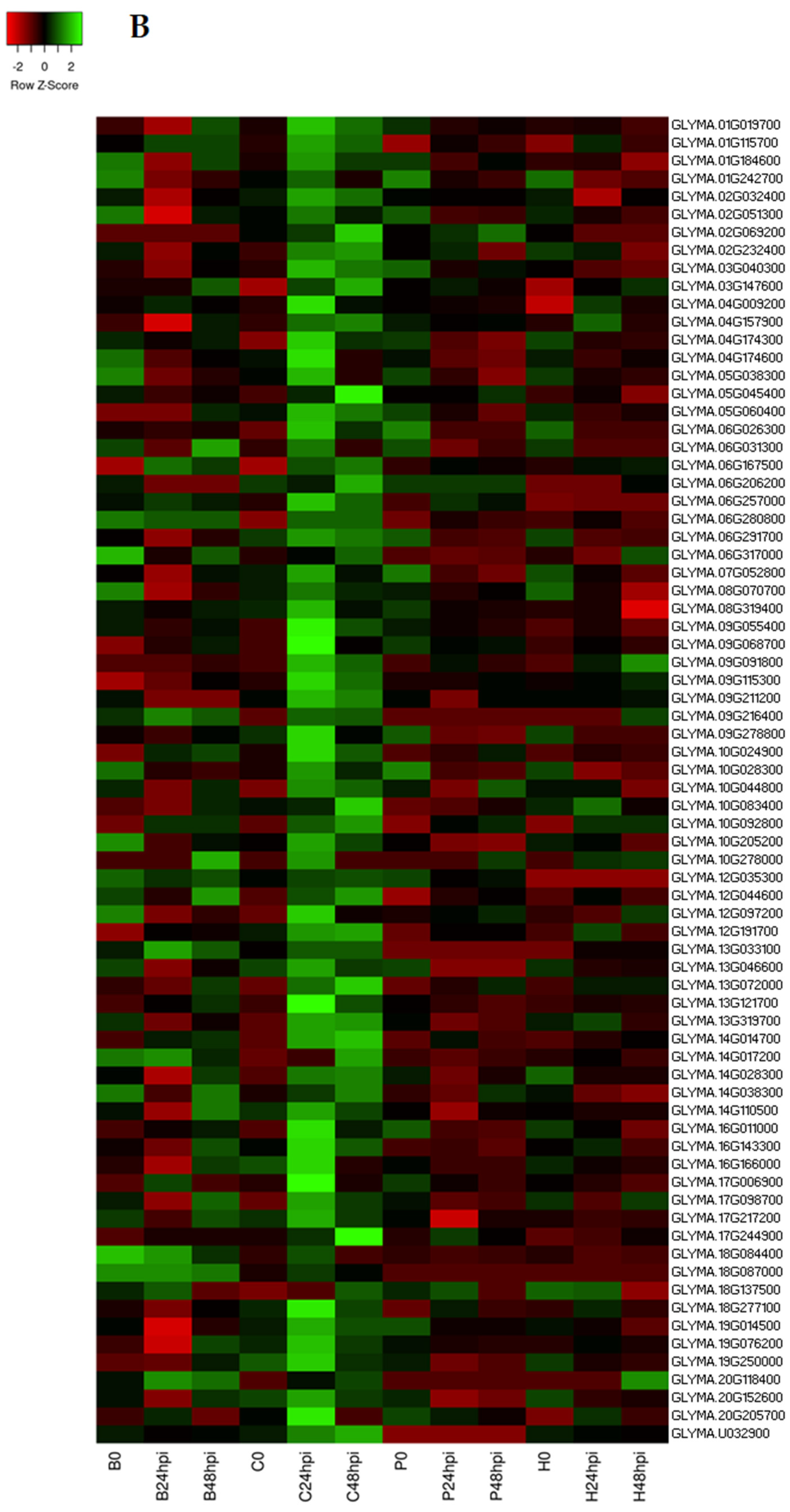 Ijms 24 10563 g007b Ijms 24 10563 g007b