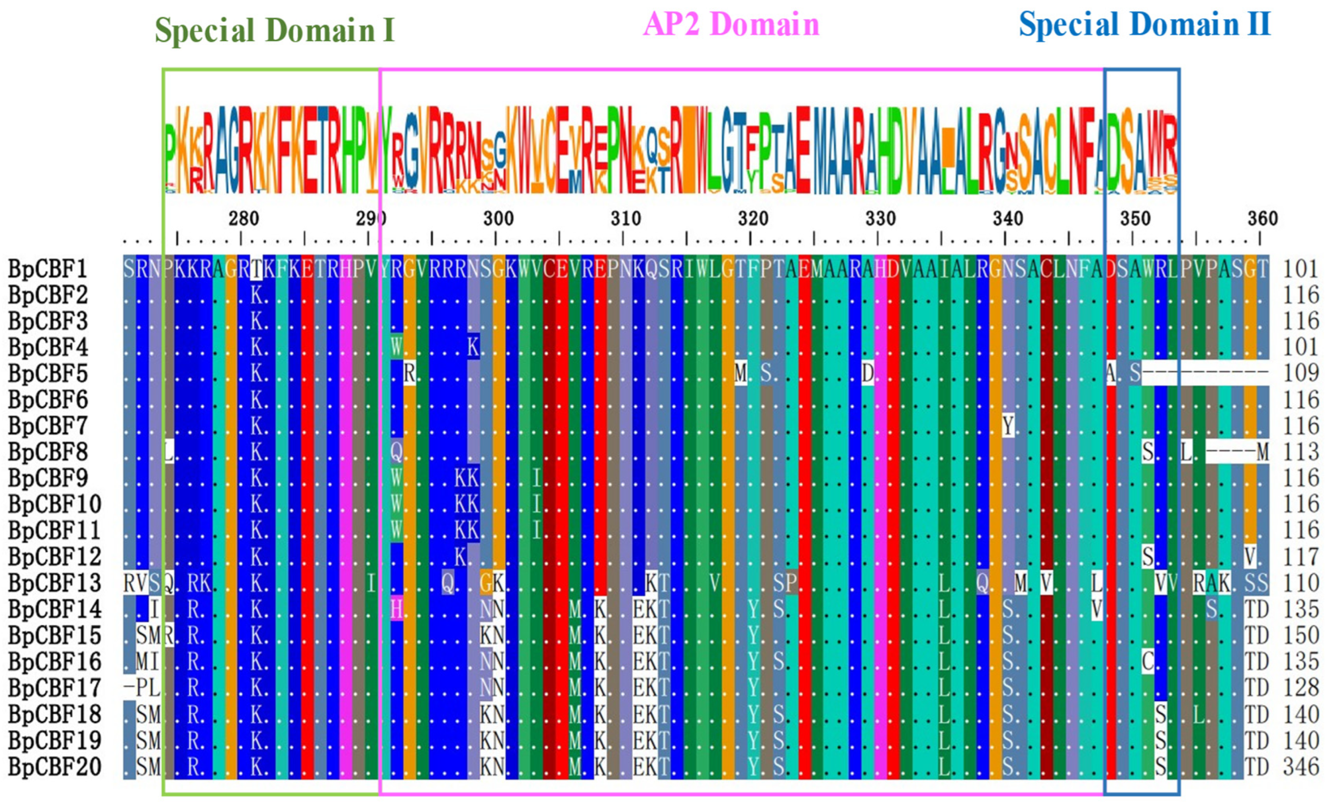 Ijms 24 10573 g003 Ijms 24 10573 g003