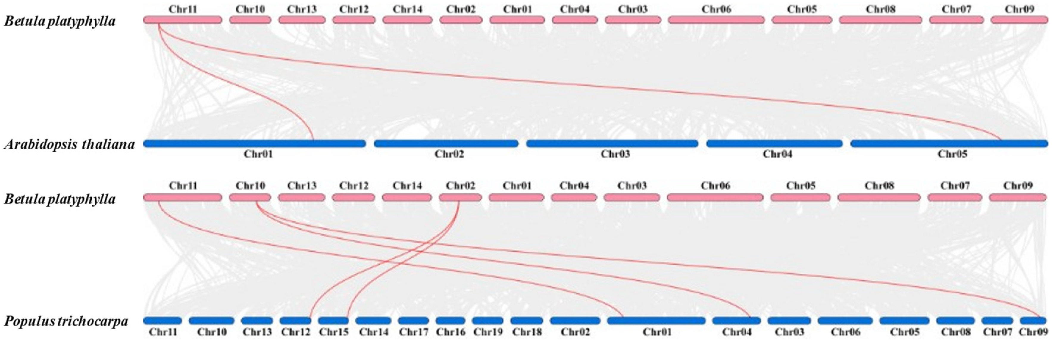 Ijms 24 10573 g005 Ijms 24 10573 g005