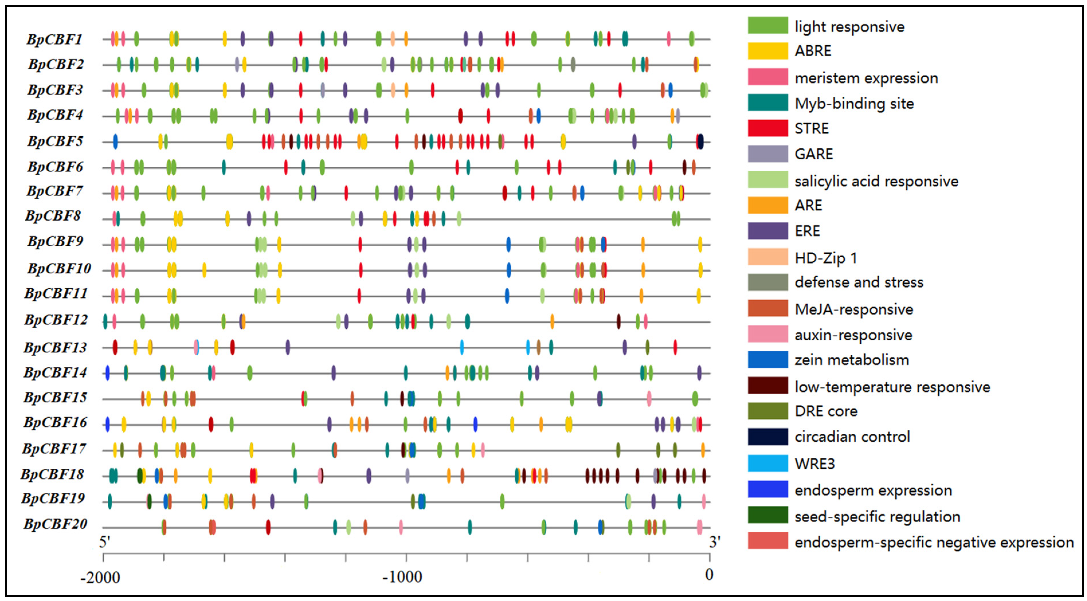 Ijms 24 10573 g006 Ijms 24 10573 g006