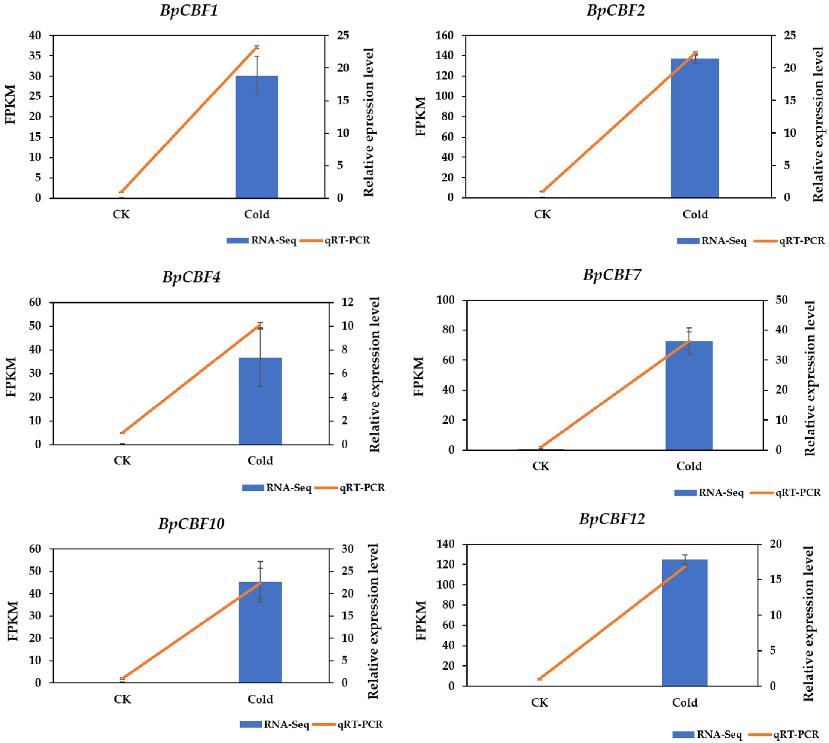 Ijms 24 10573 g010 Ijms 24 10573 g010