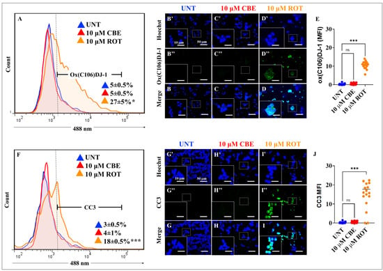 IJMS | Free Full-Text | Rotenone Blocks the Glucocerebrosidase 