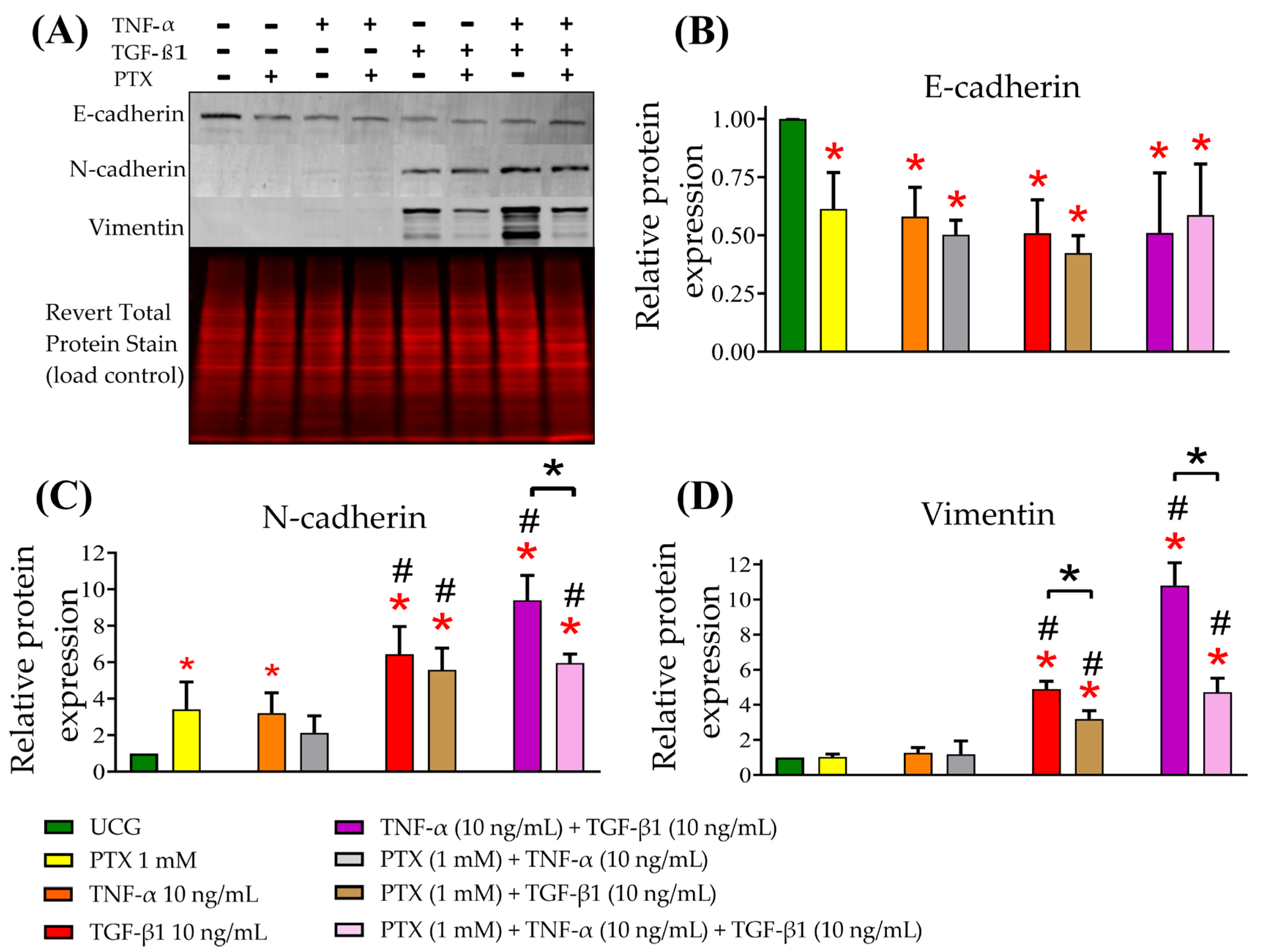 Ijms 24 10592 g002 Ijms 24 10592 g002