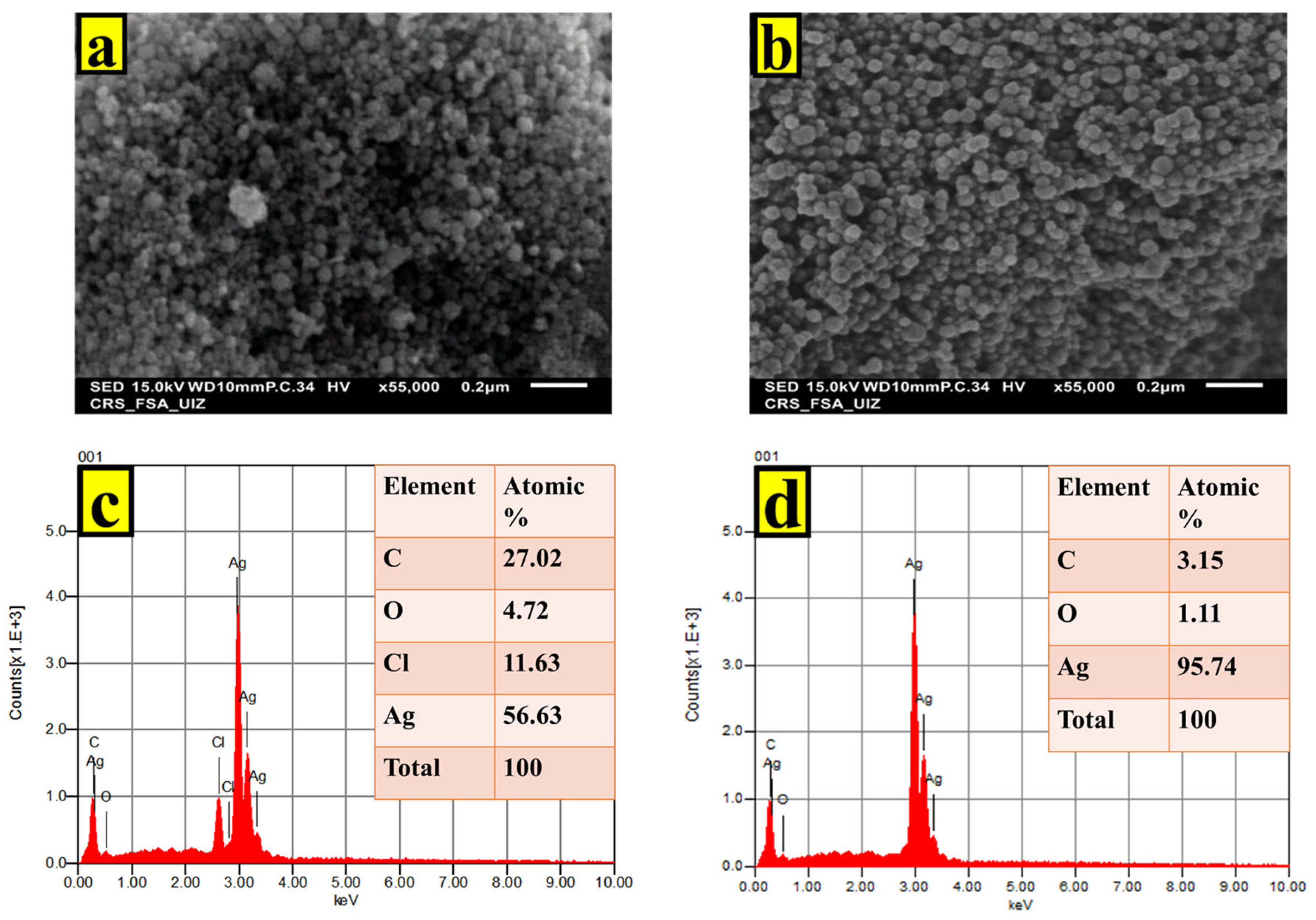 Ijms 24 10599 g004 Ijms 24 10599 g004