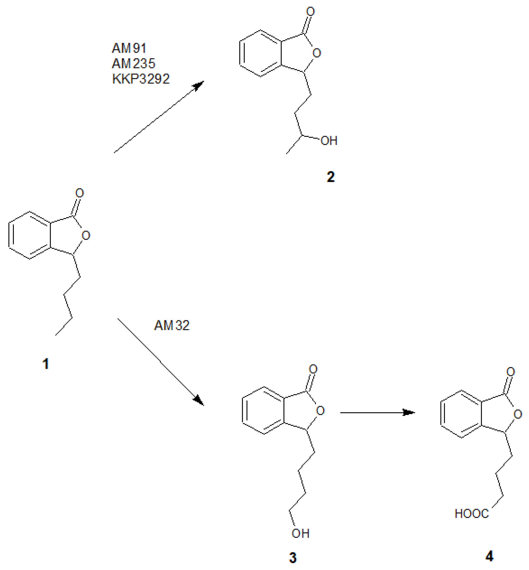 Ijms 24 10605 g005 Ijms 24 10605 g005