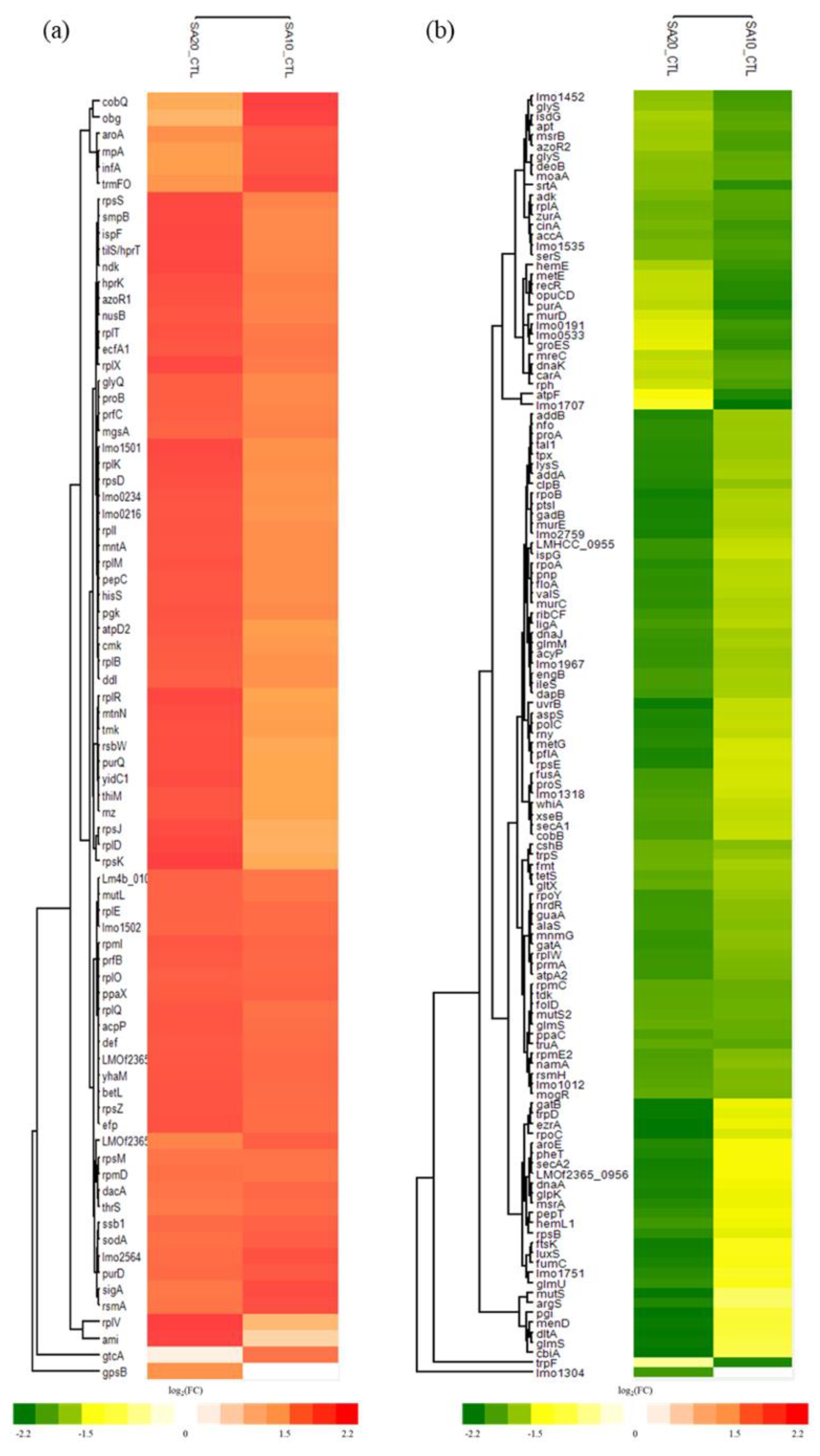 Ijms 24 10616 g003 Ijms 24 10616 g003