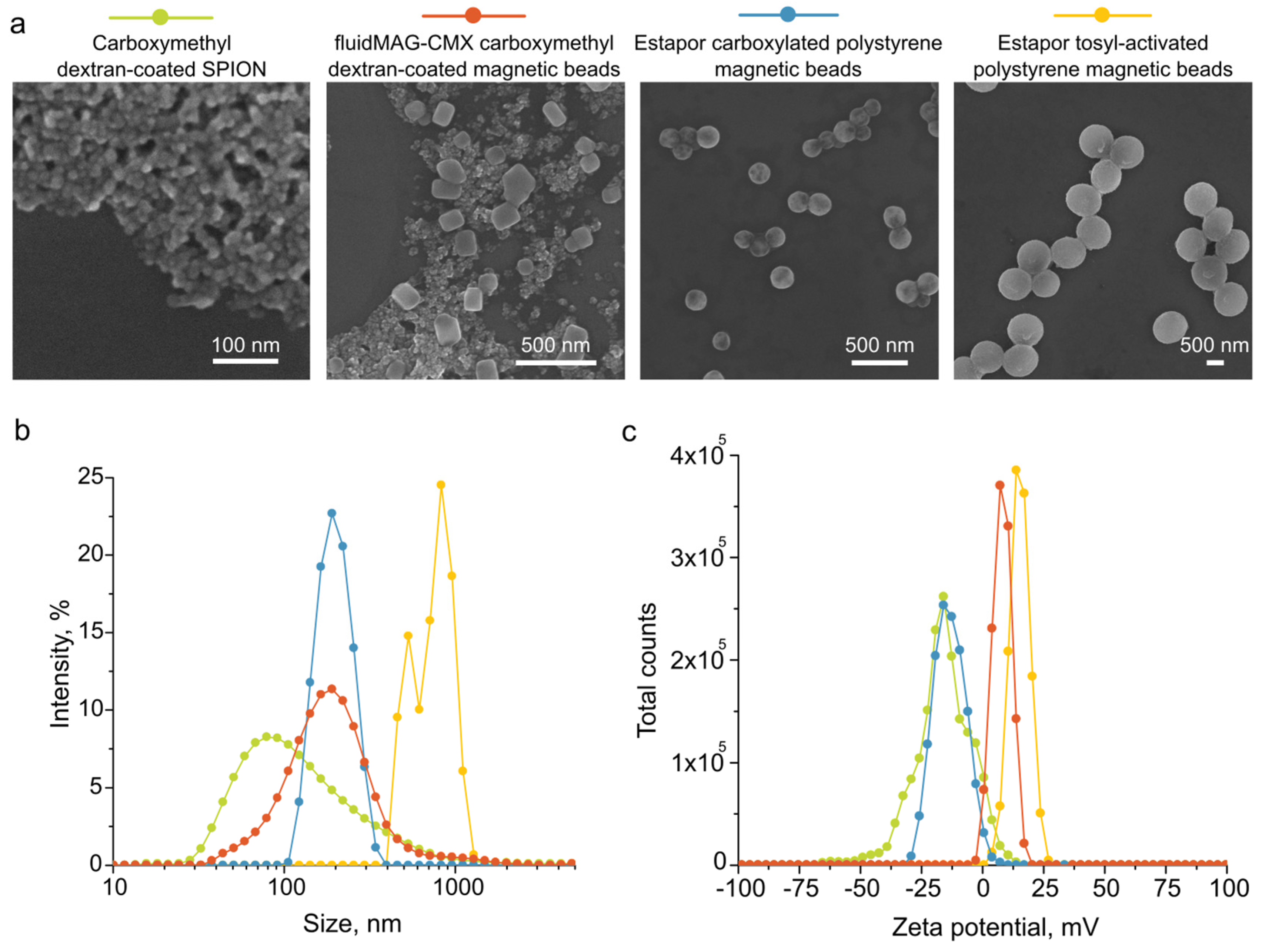 Ijms 24 10623 g002 Ijms 24 10623 g002