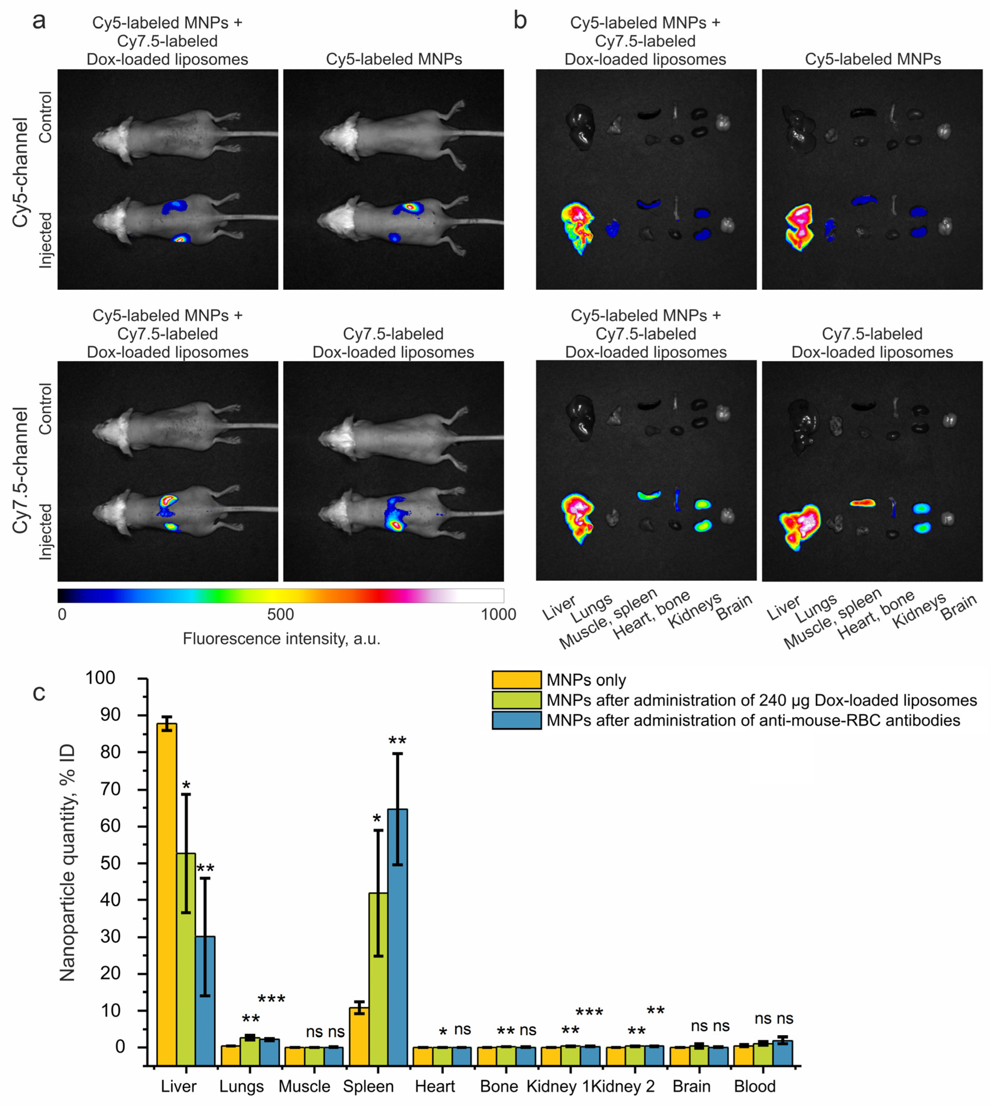 Ijms 24 10623 g004 Ijms 24 10623 g004