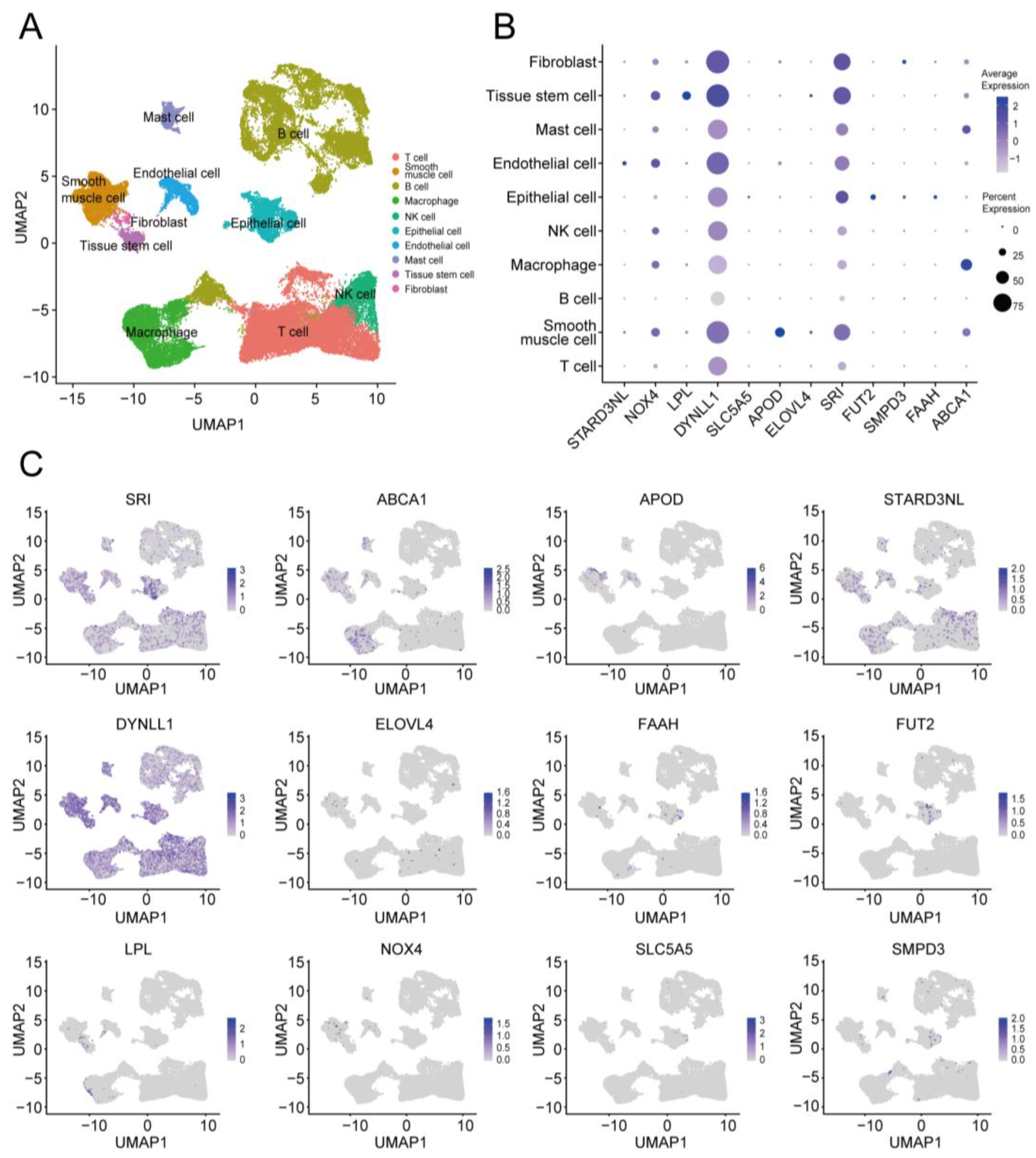 Ijms 24 10625 g008 Ijms 24 10625 g008