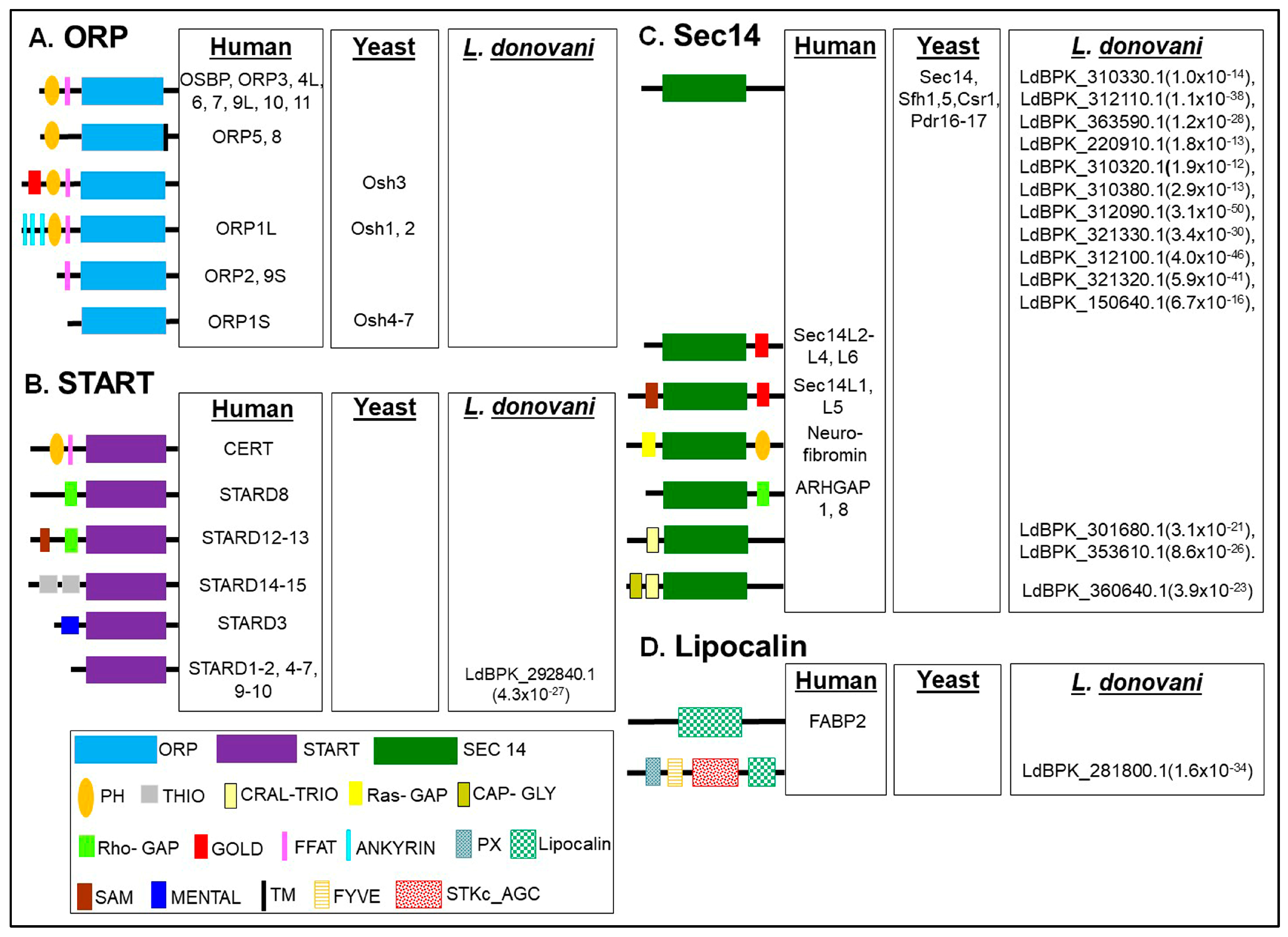 Ijms 24 10637 g002 Ijms 24 10637 g002