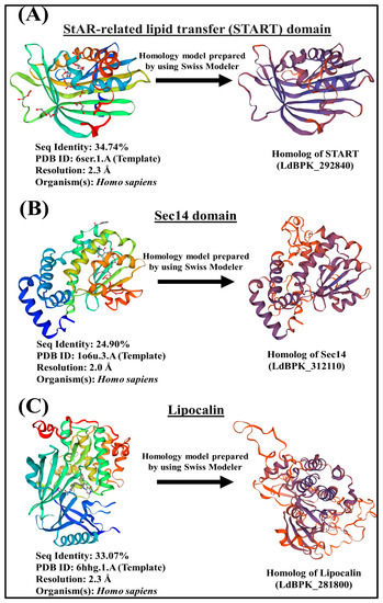 IJMS | Free Full-Text | Non-Vesicular Lipid Transport Machinery in ...