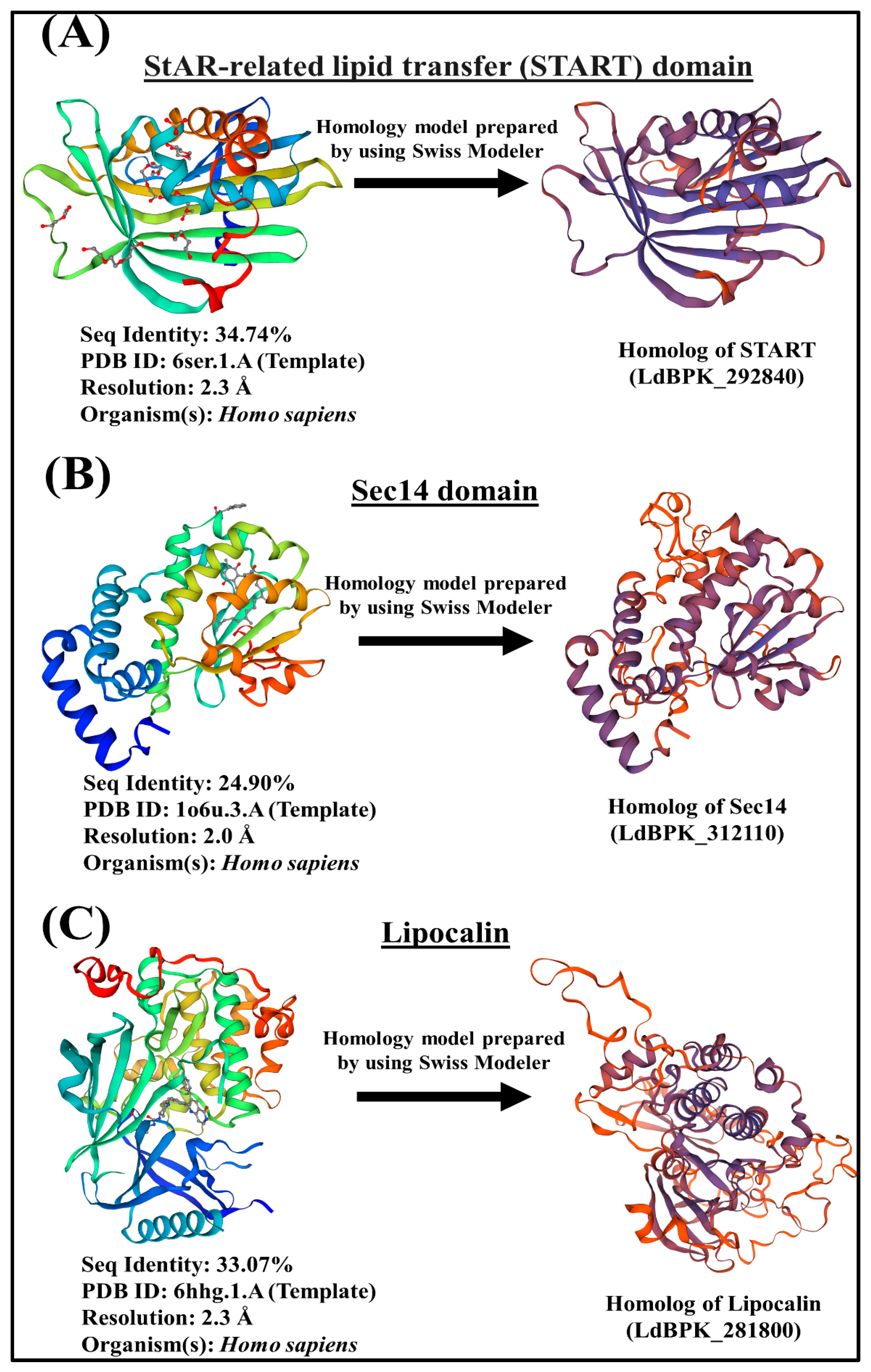 Ijms 24 10637 g003 Ijms 24 10637 g003