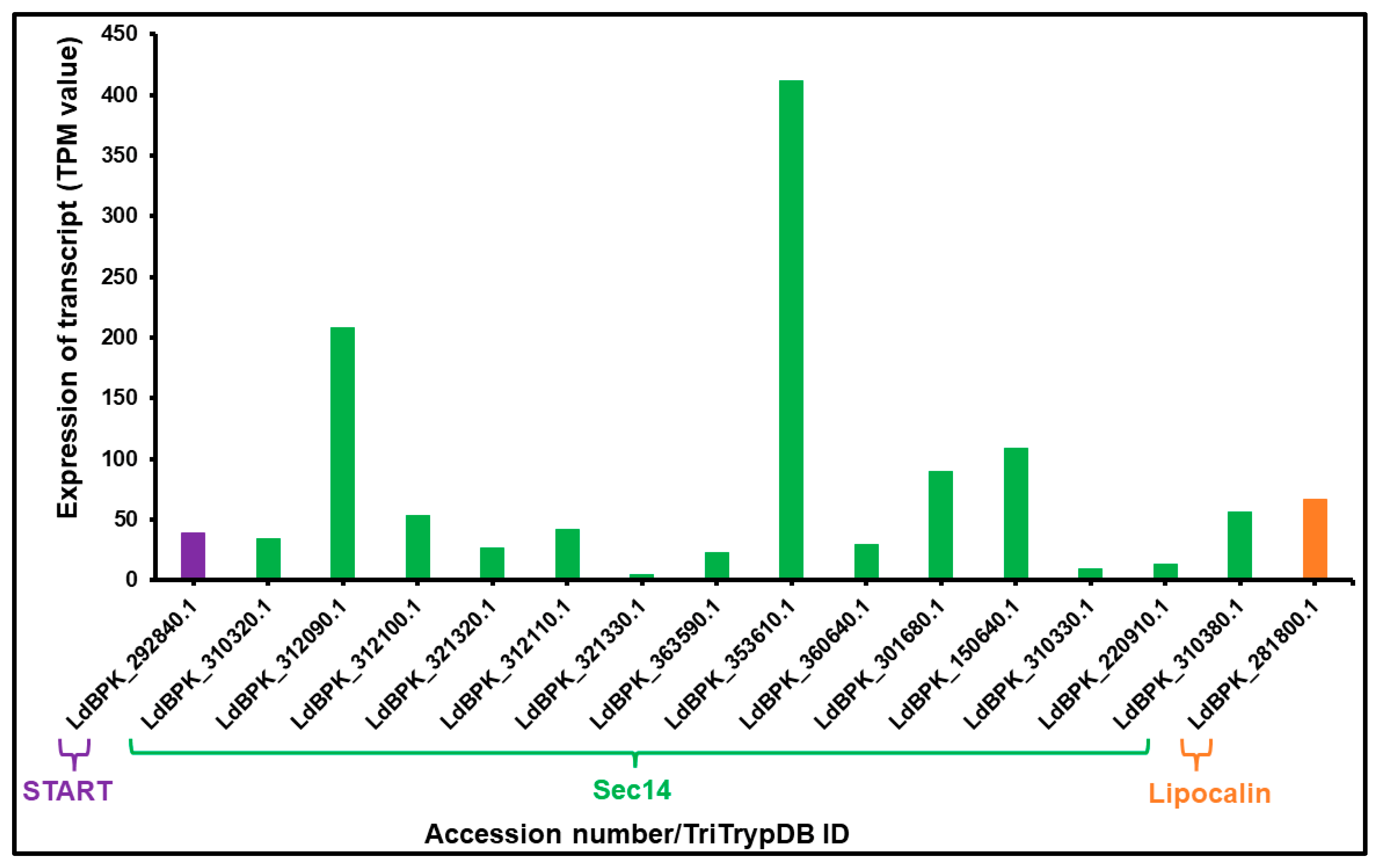 Ijms 24 10637 g004 Ijms 24 10637 g004