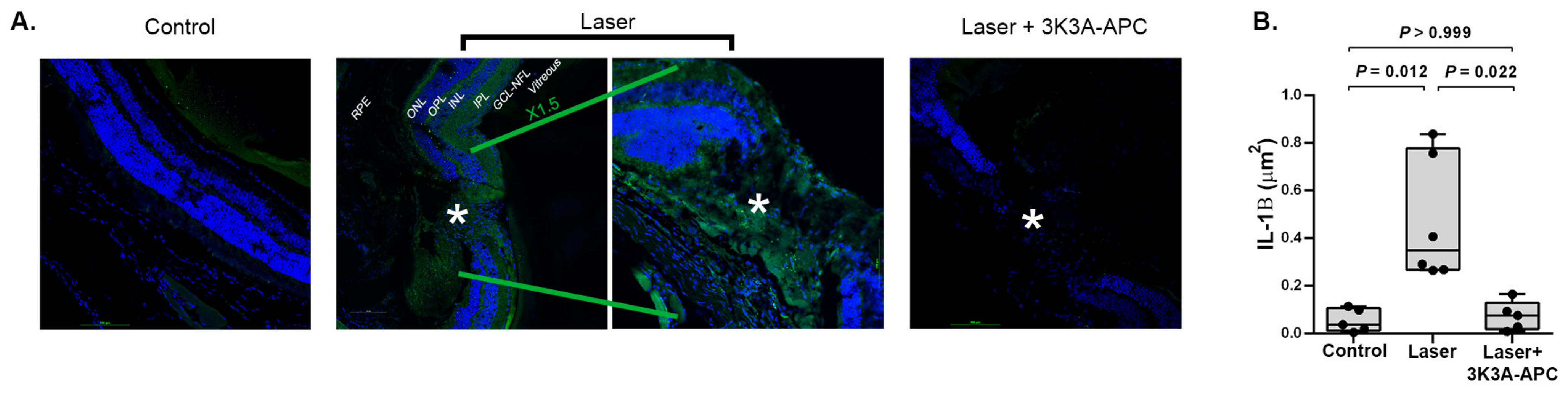 IJMS | Free Full-Text | 3K3A-Activated Protein C Inhibits