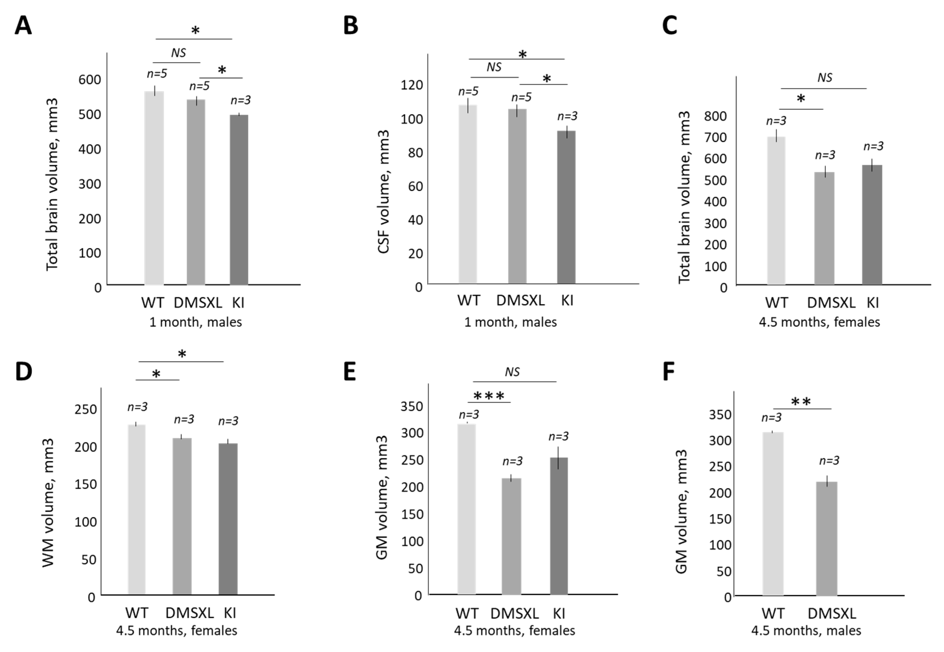 Ijms 24 10650 g005 Ijms 24 10650 g005
