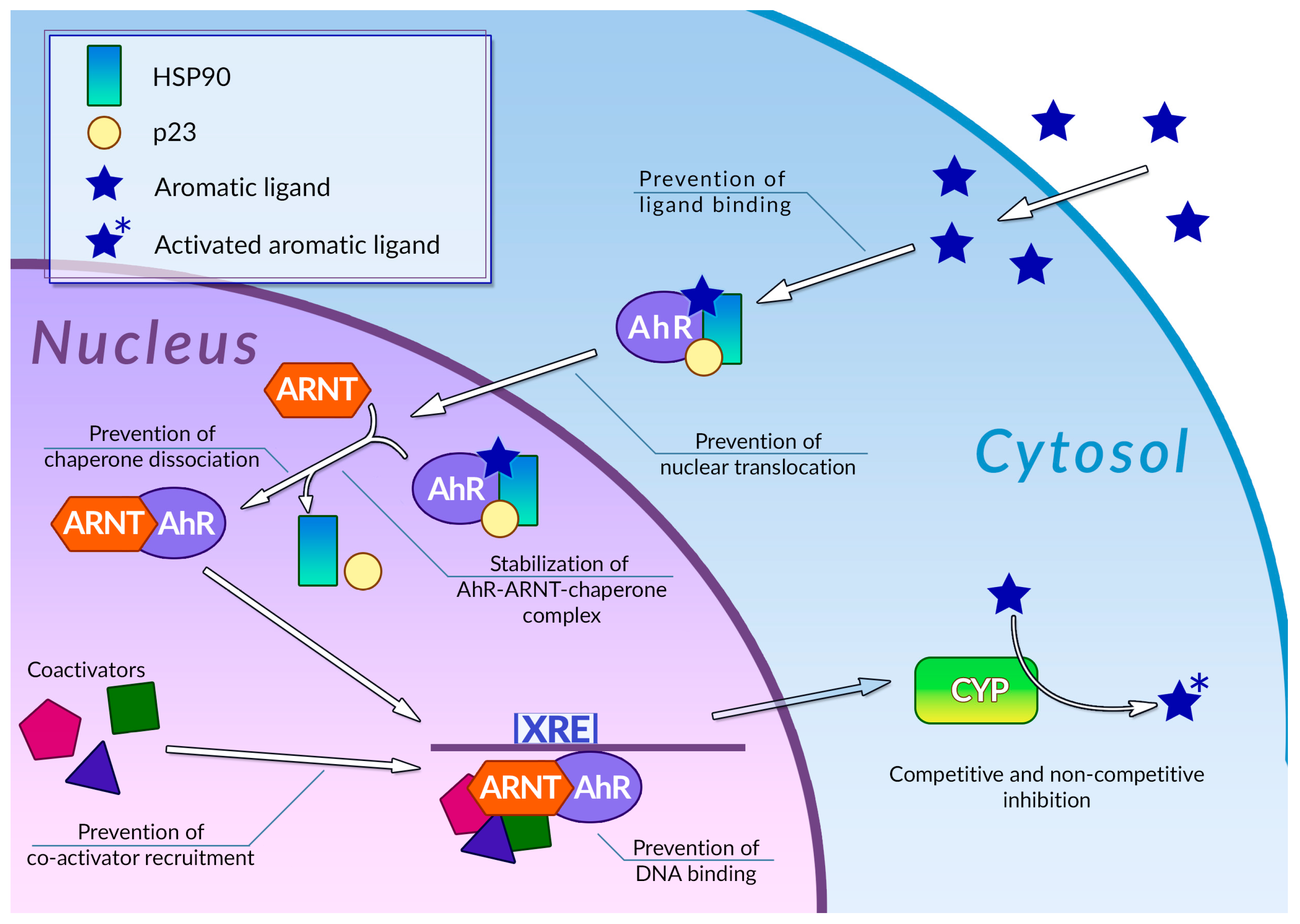 Ijms 24 10663 g002 Ijms 24 10663 g002