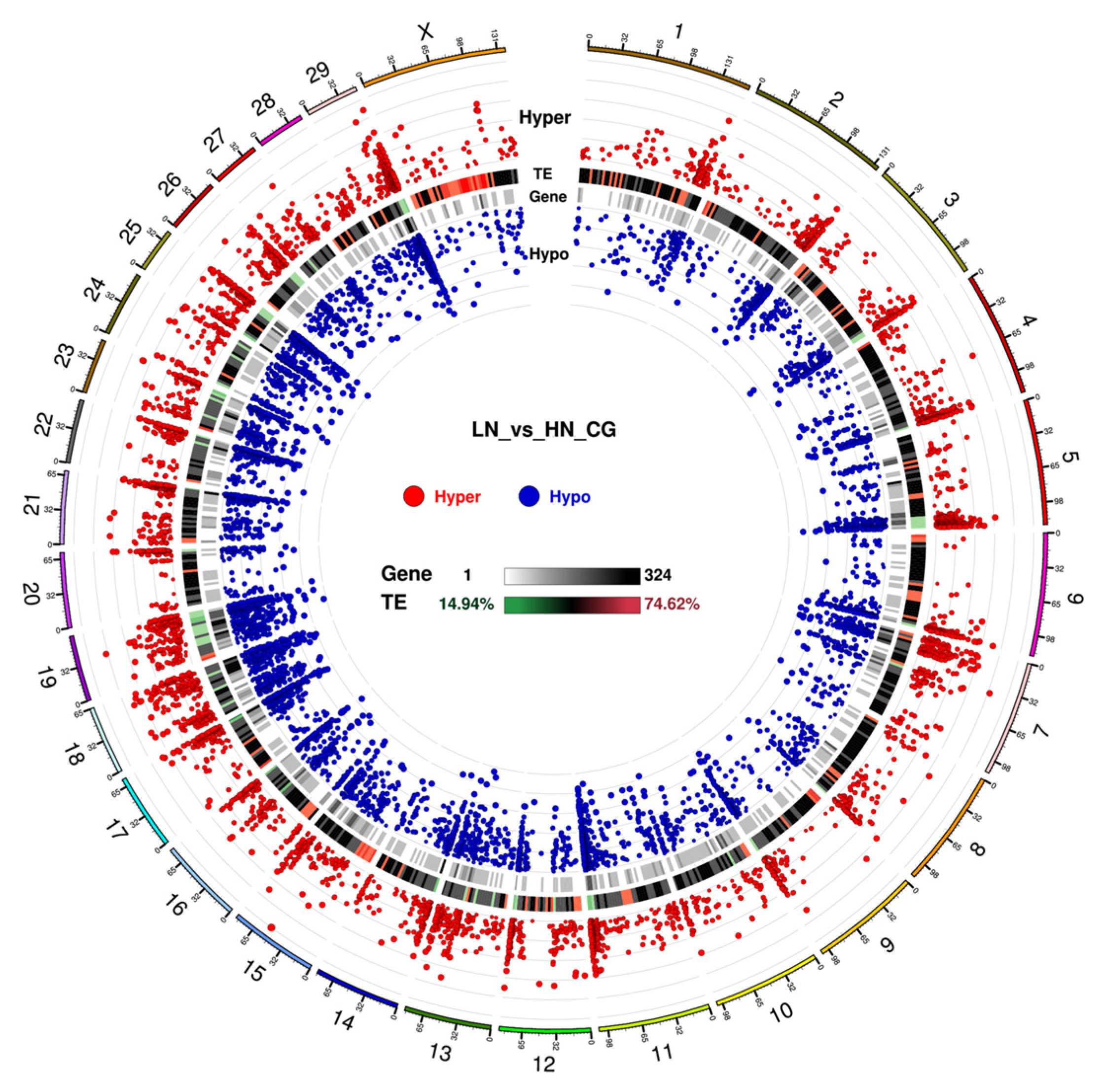 Ijms 24 10682 g003 Ijms 24 10682 g003