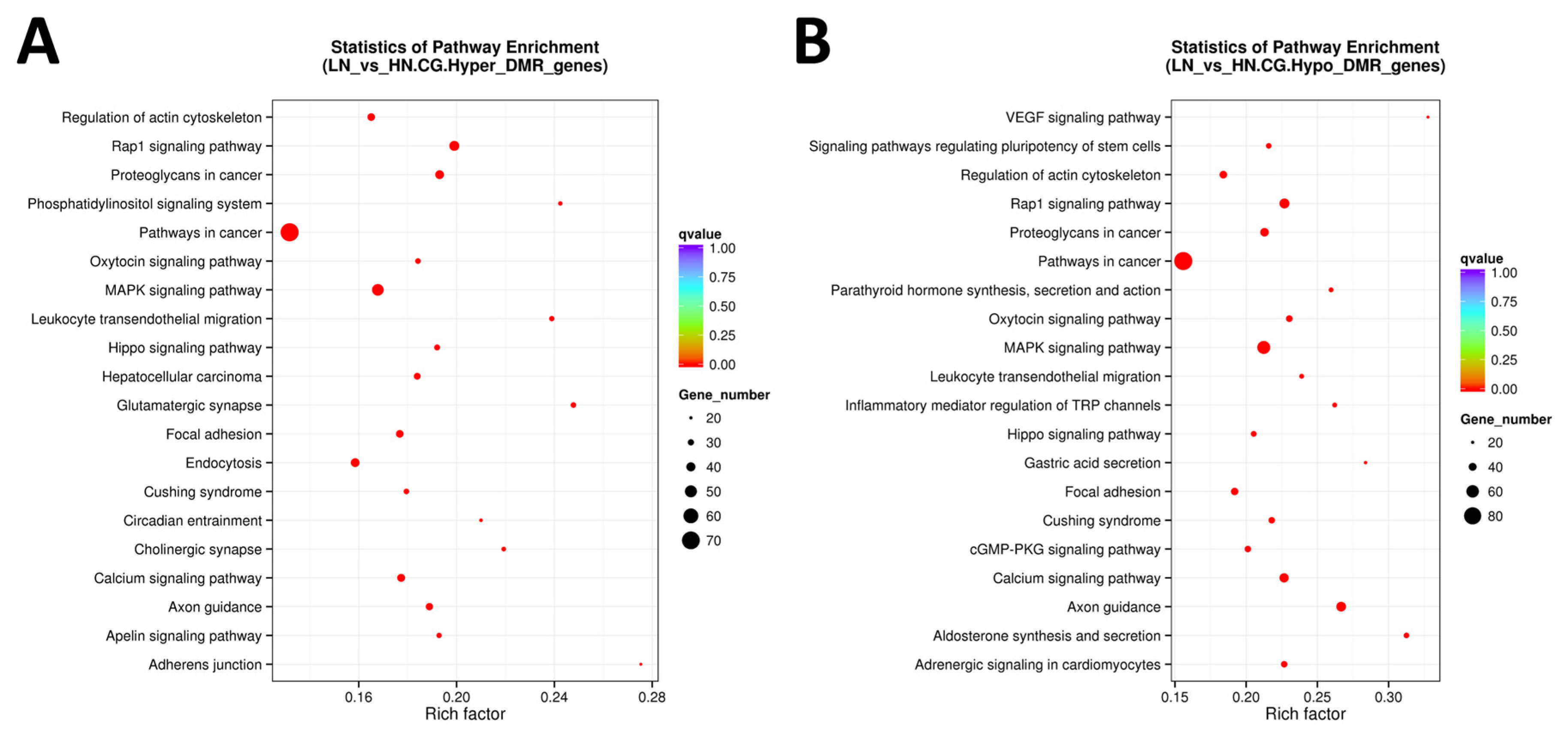 Ijms 24 10682 g004 Ijms 24 10682 g004