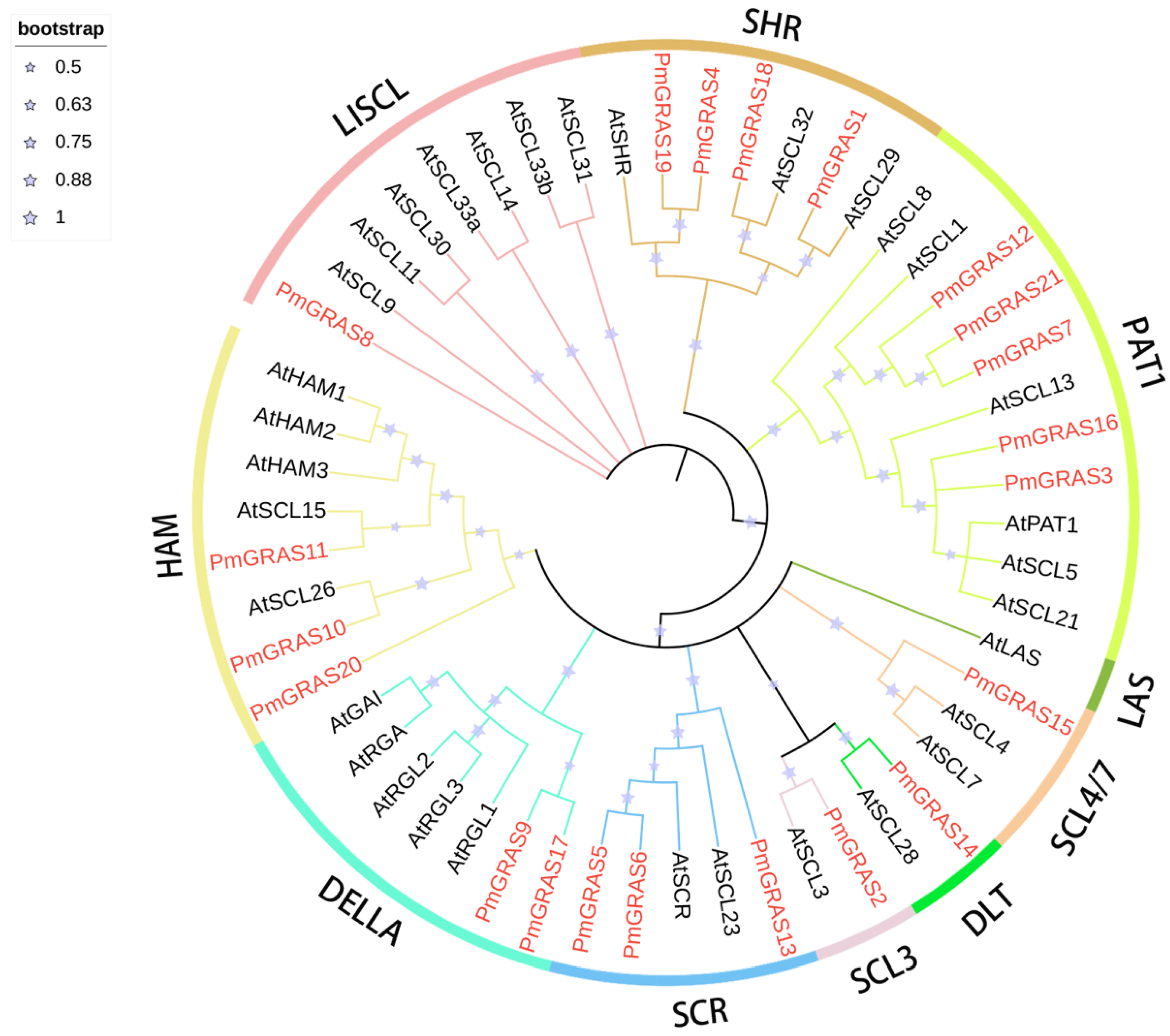 IJMS | Free Full-Text | Transcriptome-Wide Identification of the 