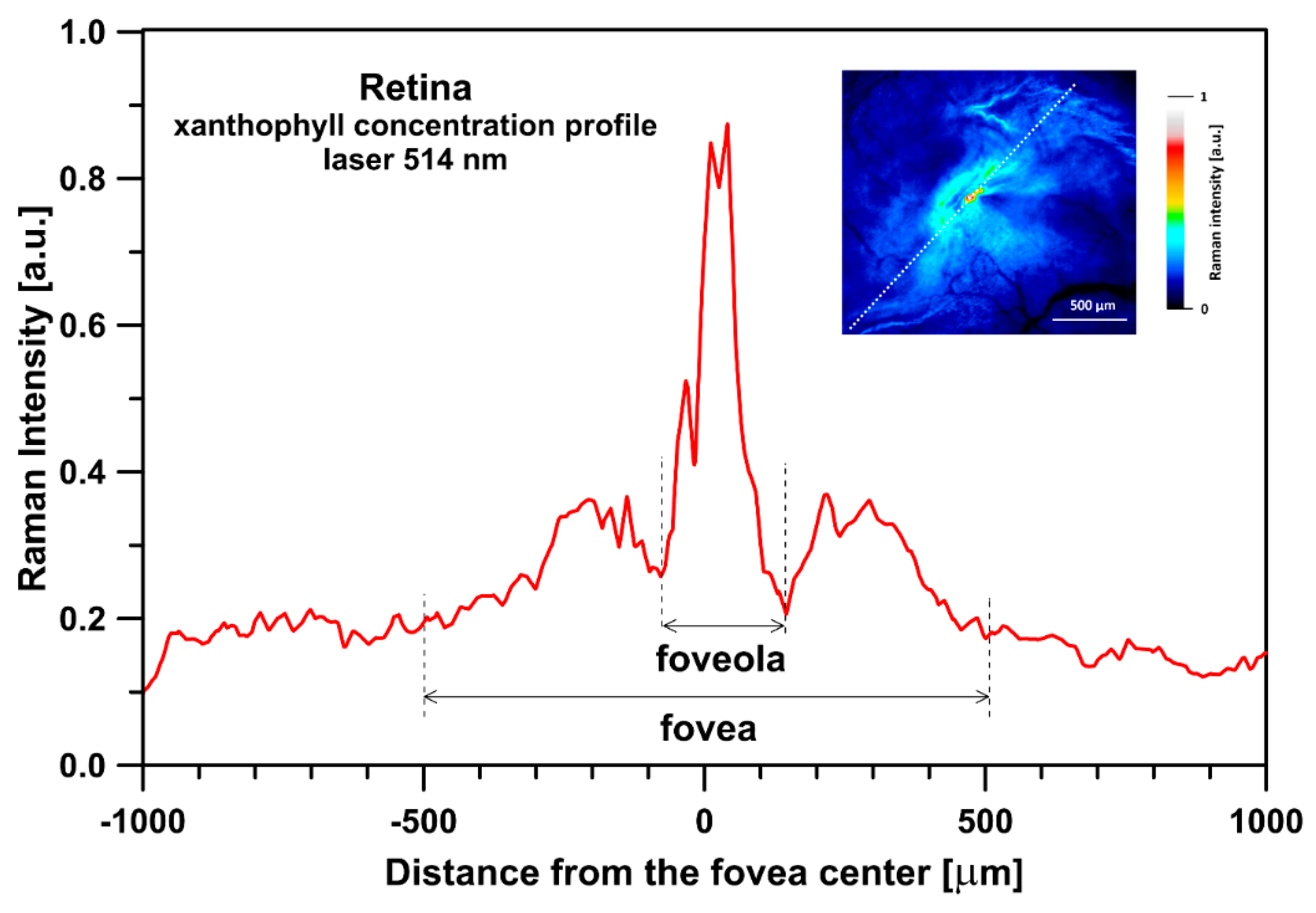 Ijms 24 10702 g002 Ijms 24 10702 g002