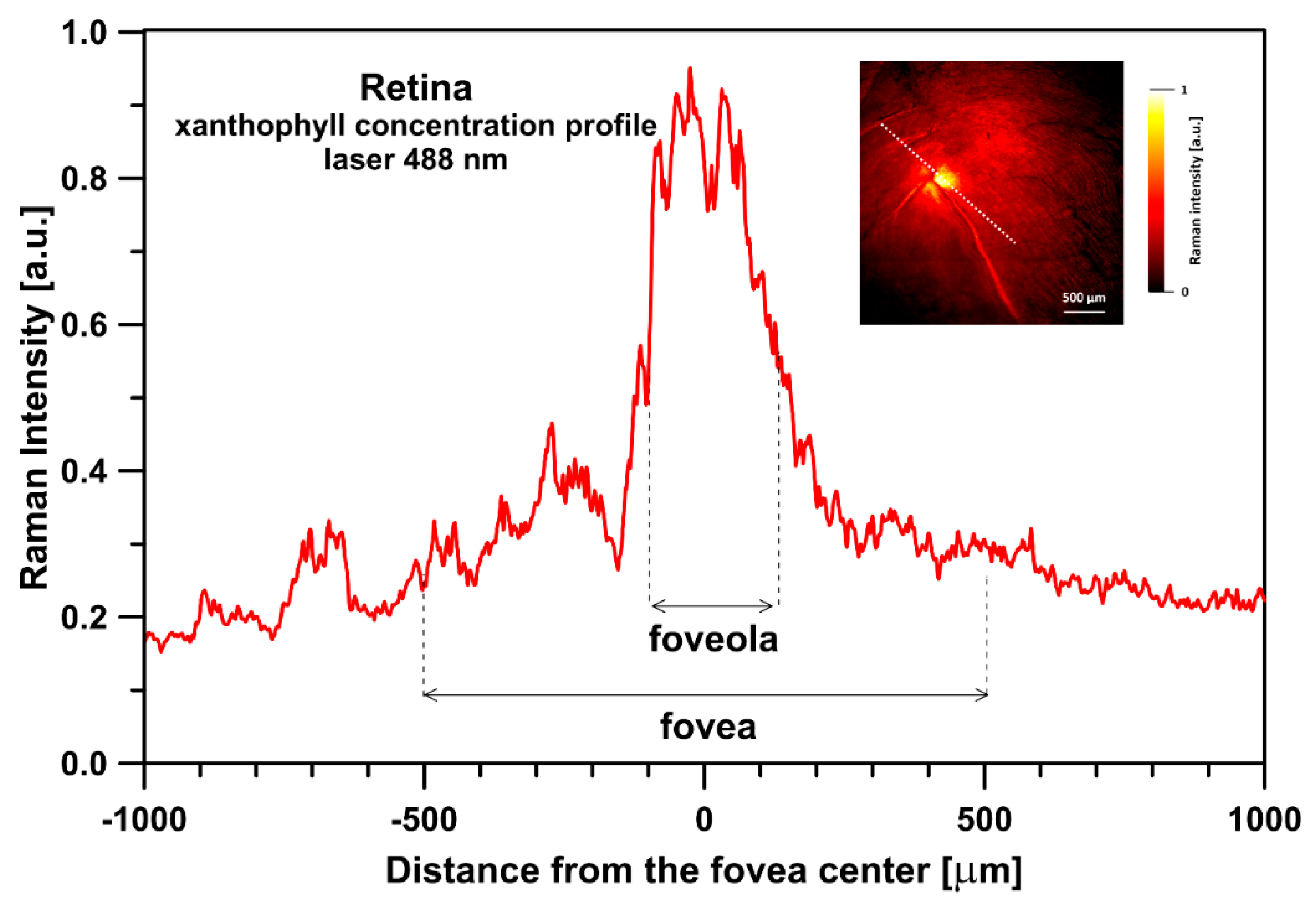 Ijms 24 10702 g003 Ijms 24 10702 g003
