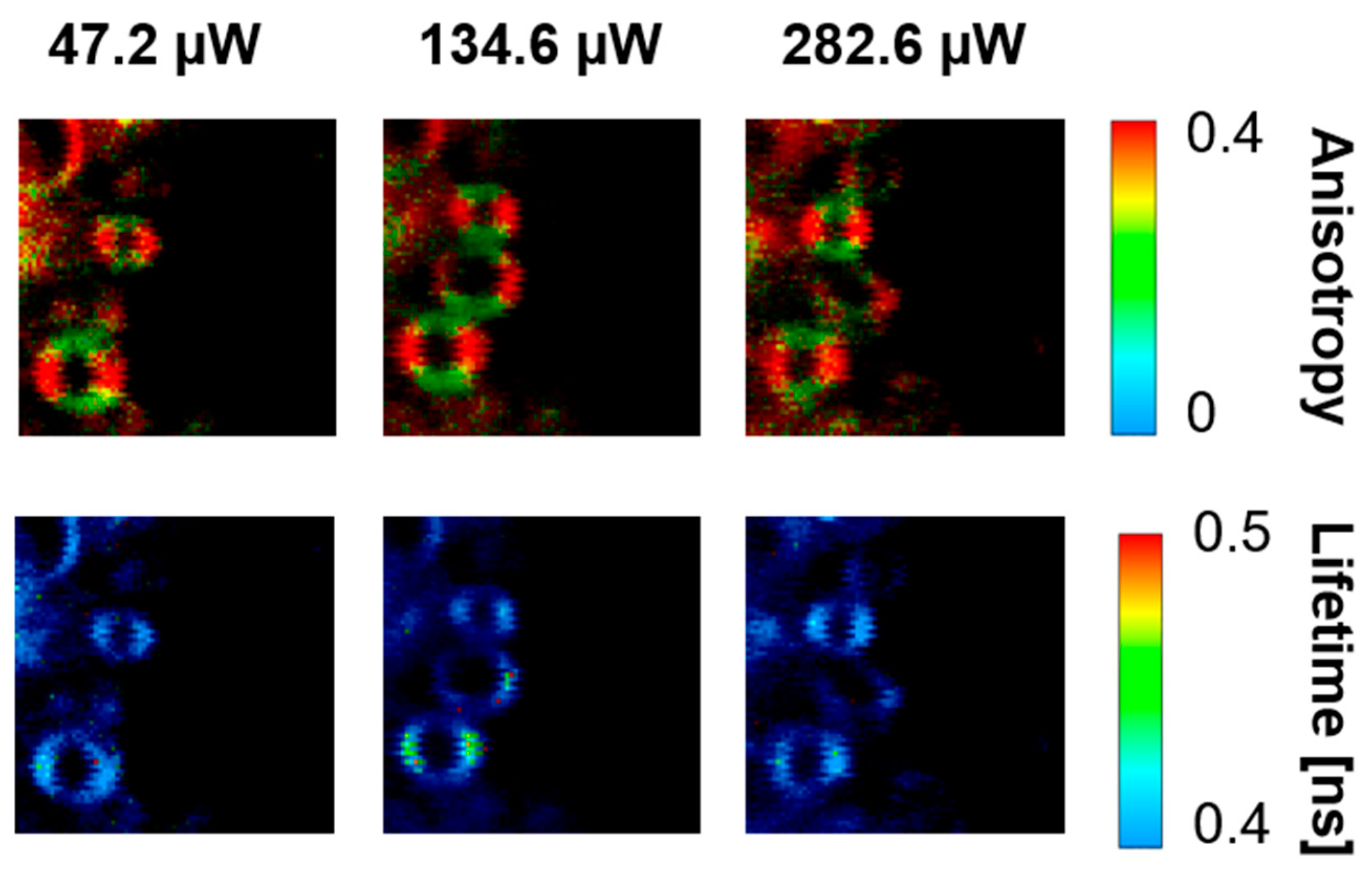 Ijms 24 10702 g007 Ijms 24 10702 g007