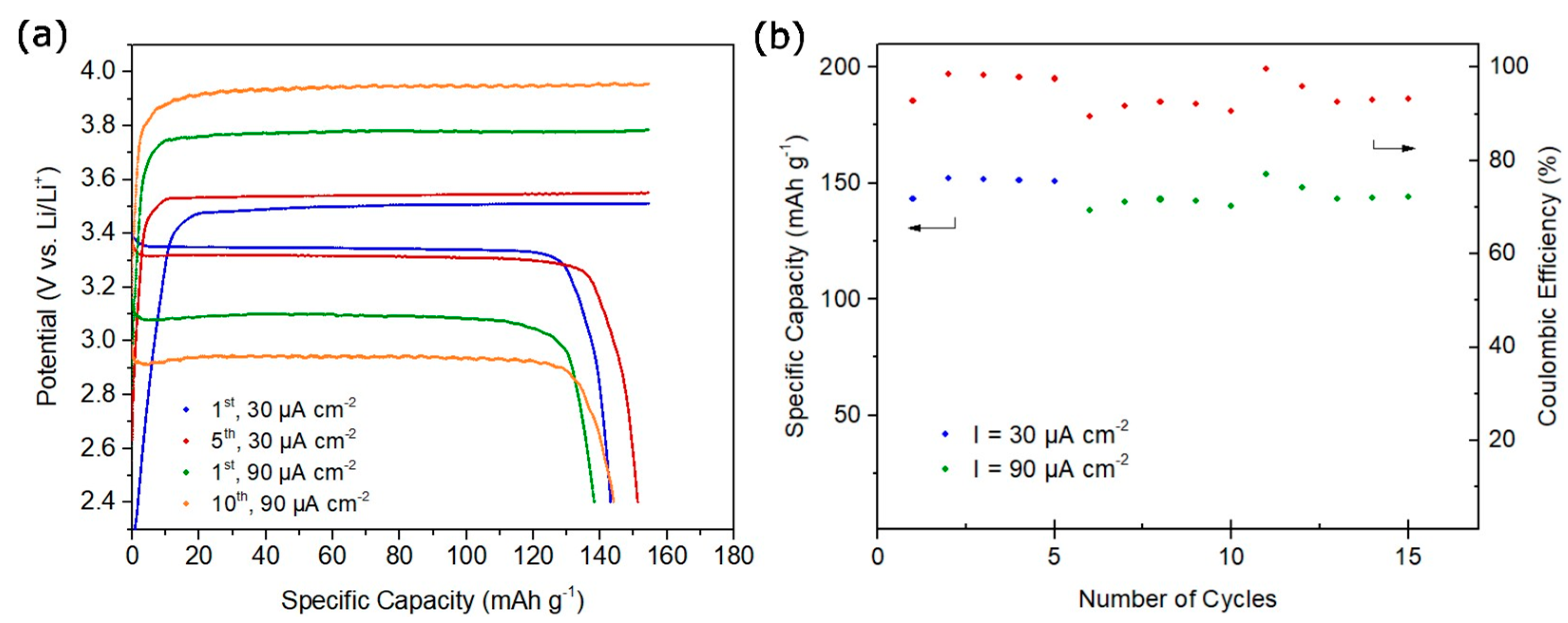 Ijms 24 10703 g007 Ijms 24 10703 g007