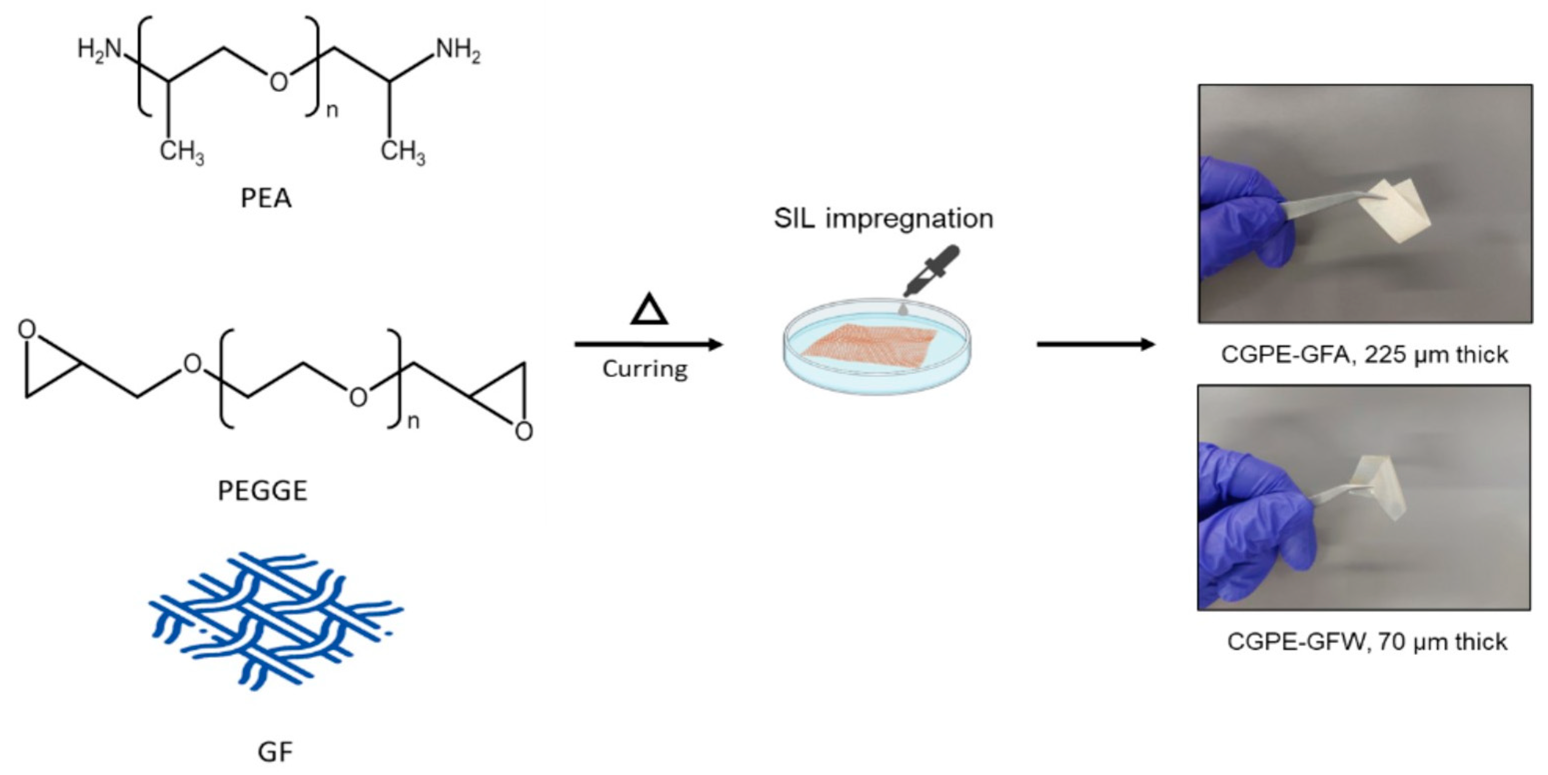 Ijms 24 10703 g008 Ijms 24 10703 g008