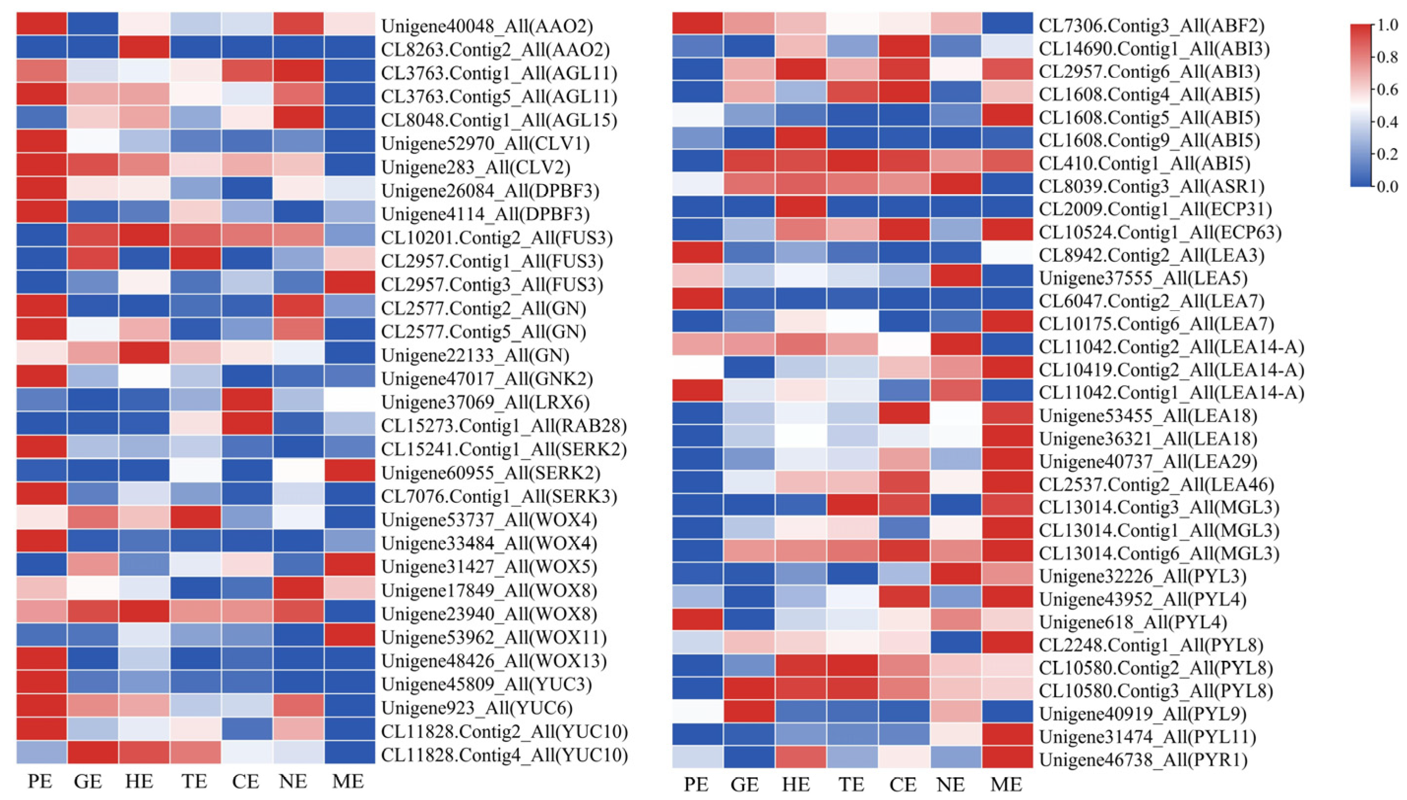 Ijms 24 10715 g005 Ijms 24 10715 g005