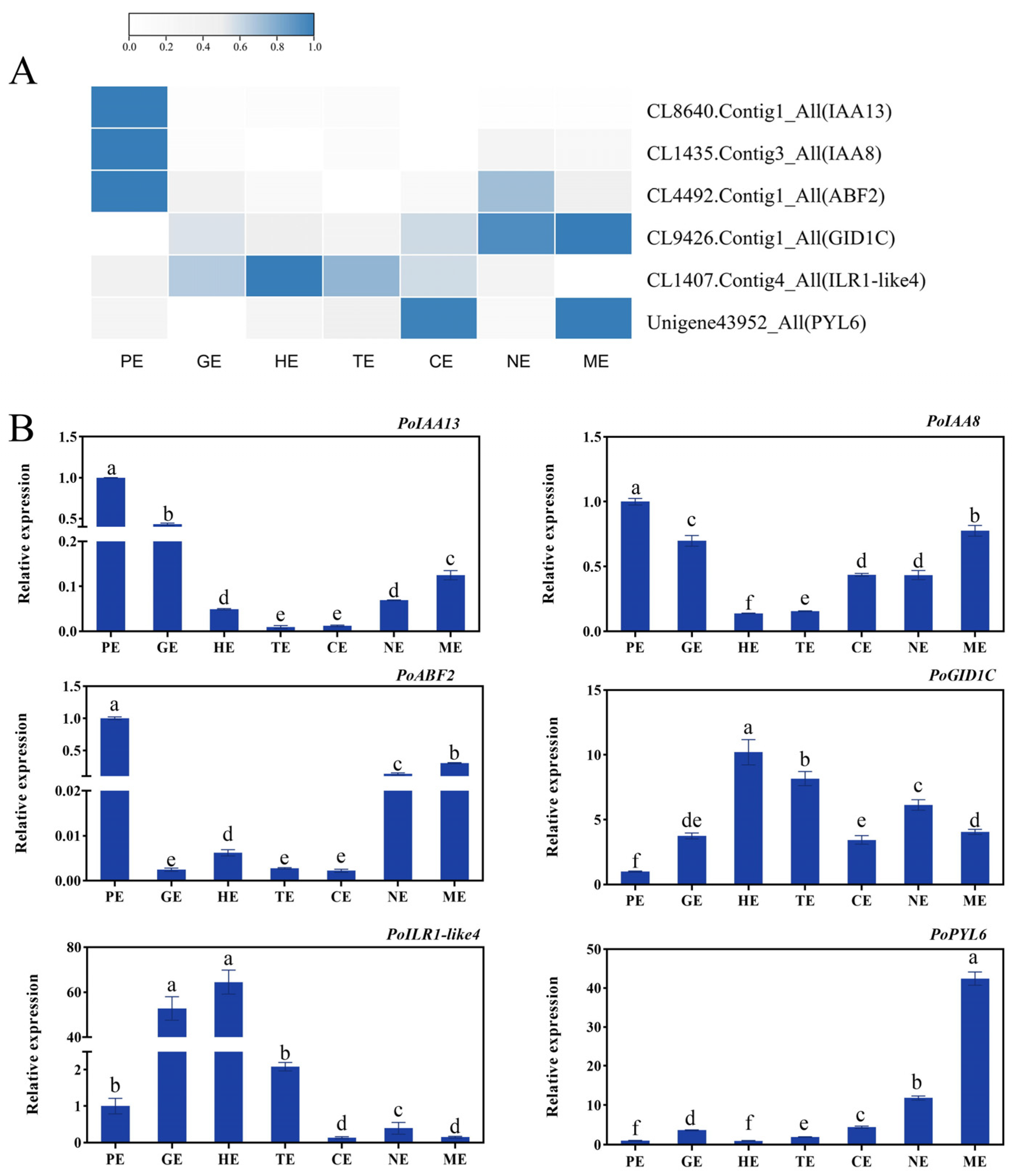 Ijms 24 10715 g010 Ijms 24 10715 g010