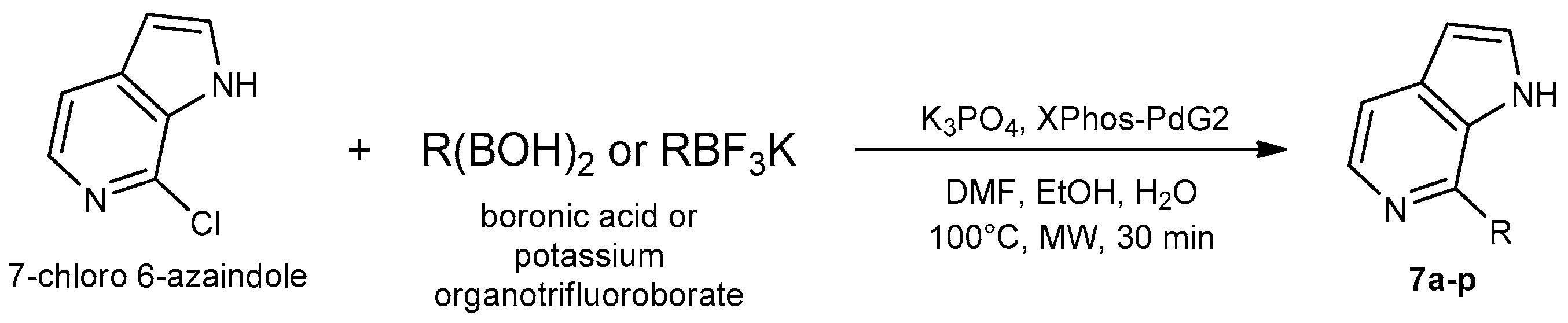 Ijms 24 10722 sch061 Ijms 24 10722 sch061