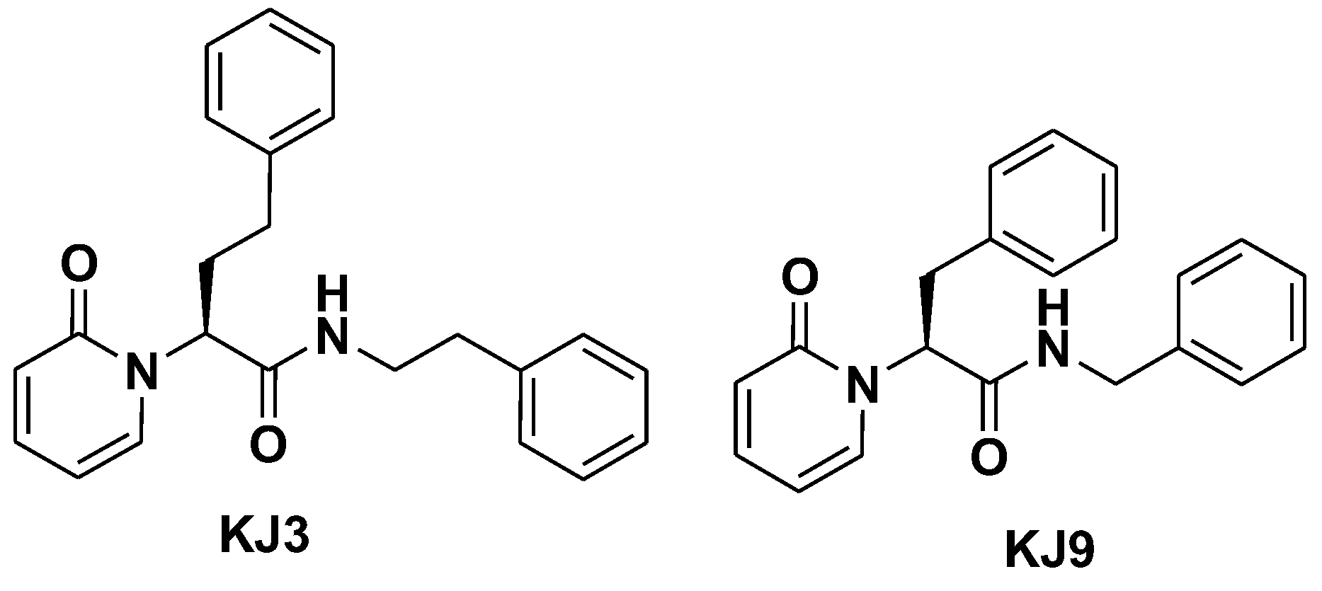 Ijms 24 10732 g001 Ijms 24 10732 g001