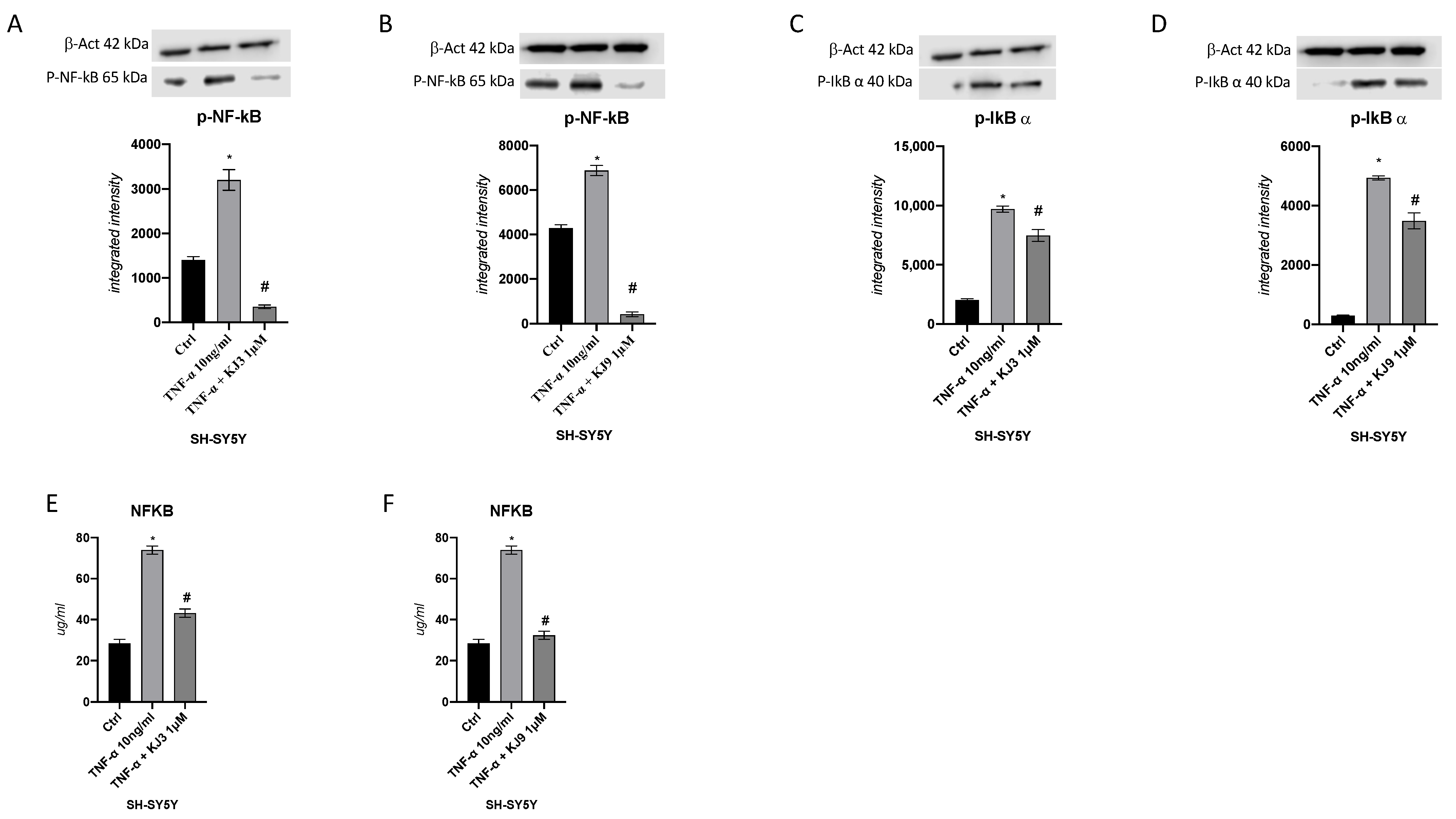 Ijms 24 10732 g004 Ijms 24 10732 g004