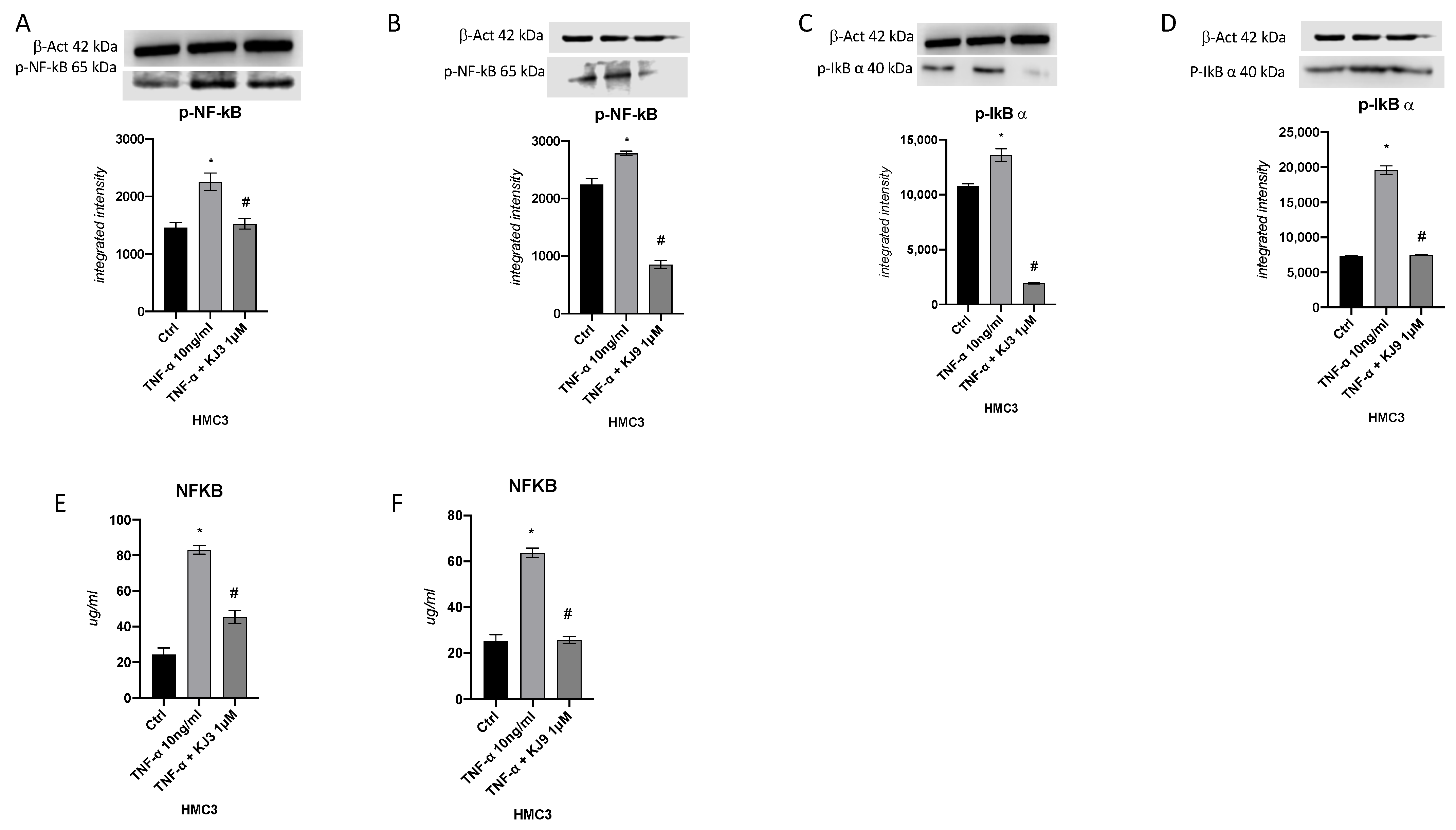 Ijms 24 10732 g005 Ijms 24 10732 g005