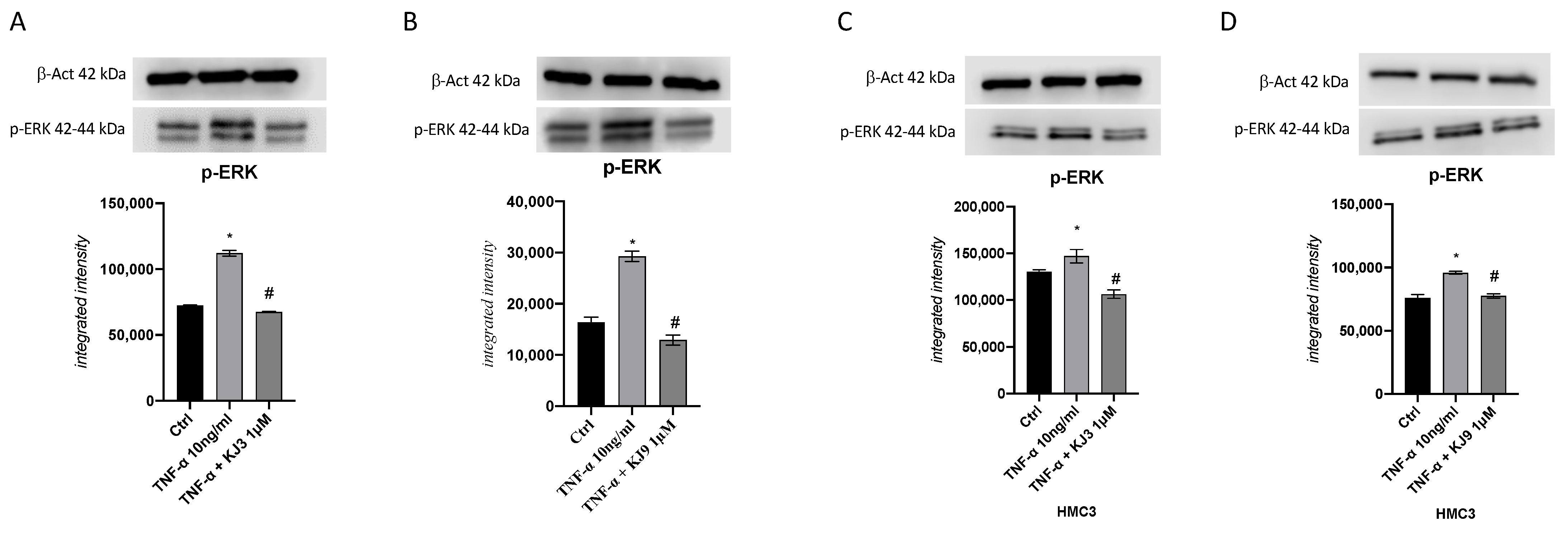 Ijms 24 10732 g006 Ijms 24 10732 g006