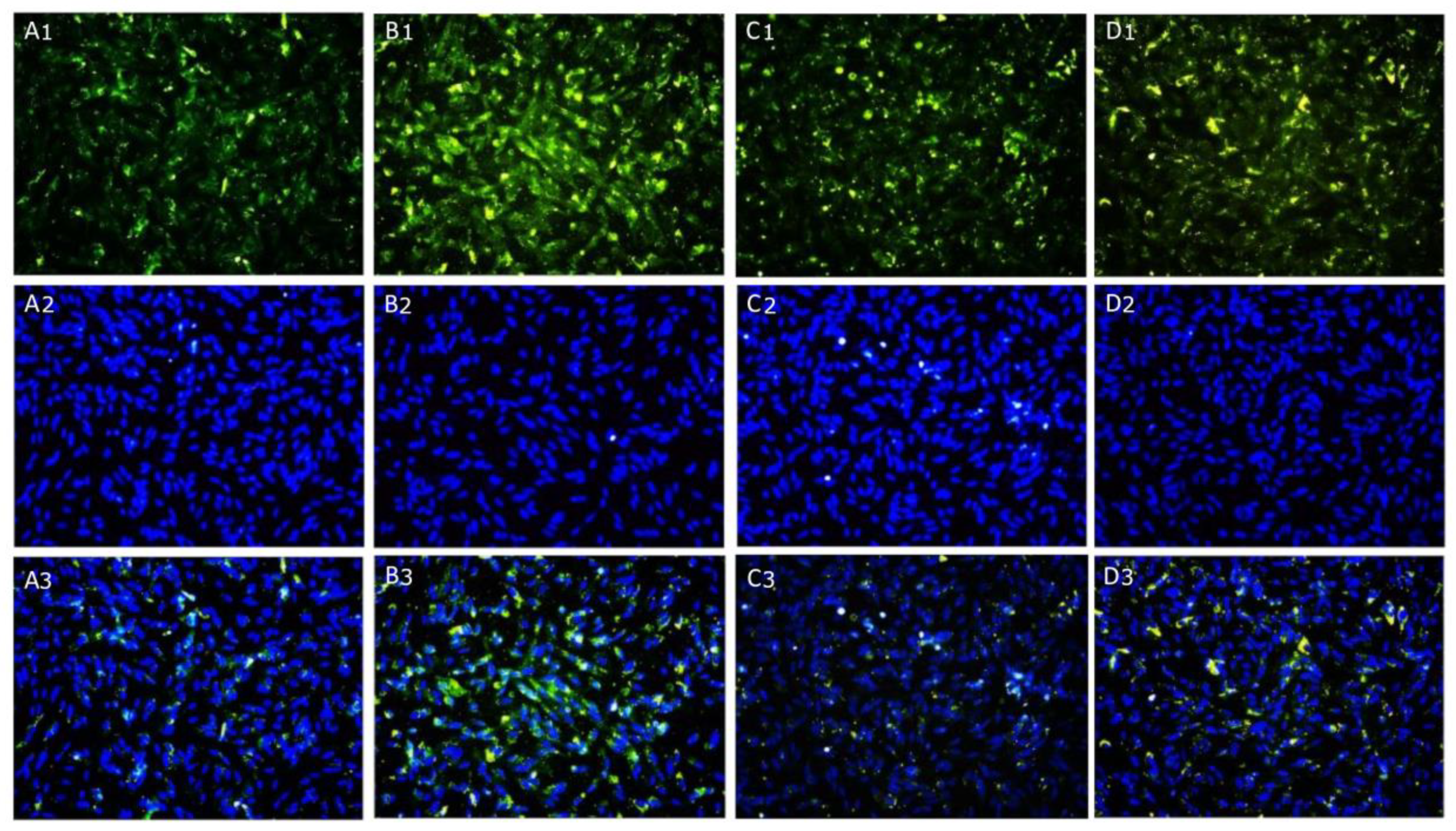 Ijms 24 10732 g008 Ijms 24 10732 g008