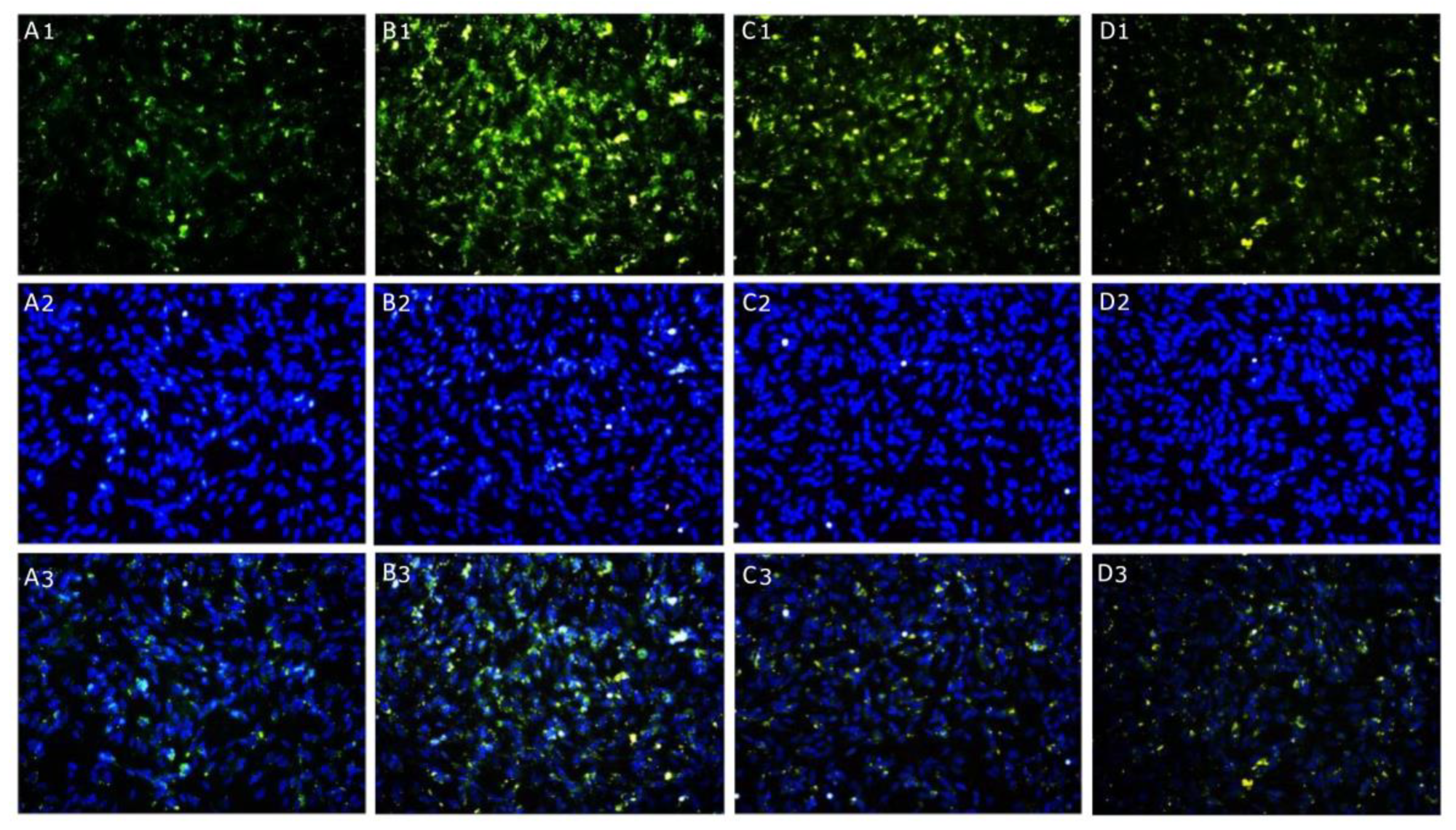 Ijms 24 10732 g009 Ijms 24 10732 g009