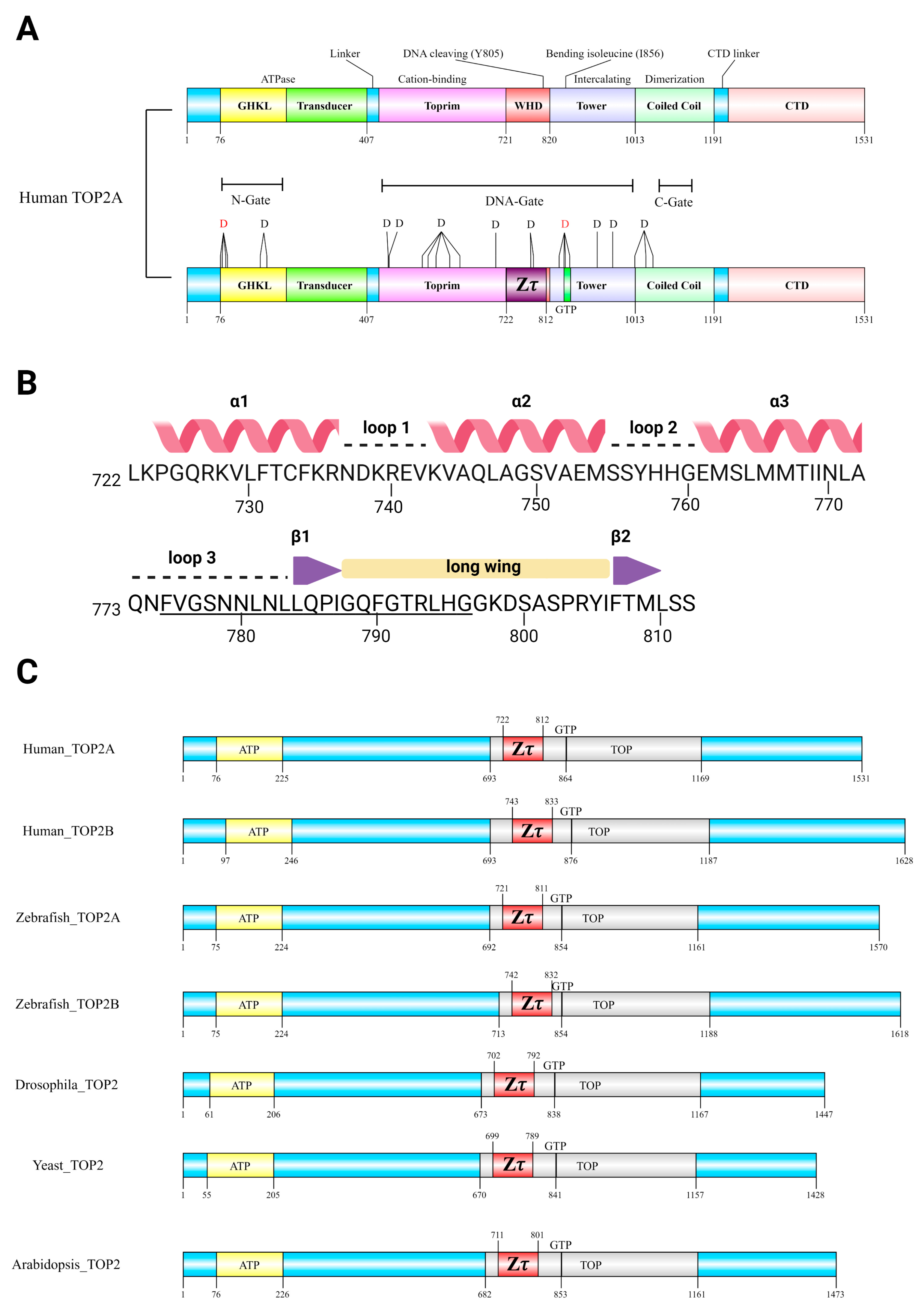 Ijms 24 10740 g005 Ijms 24 10740 g005