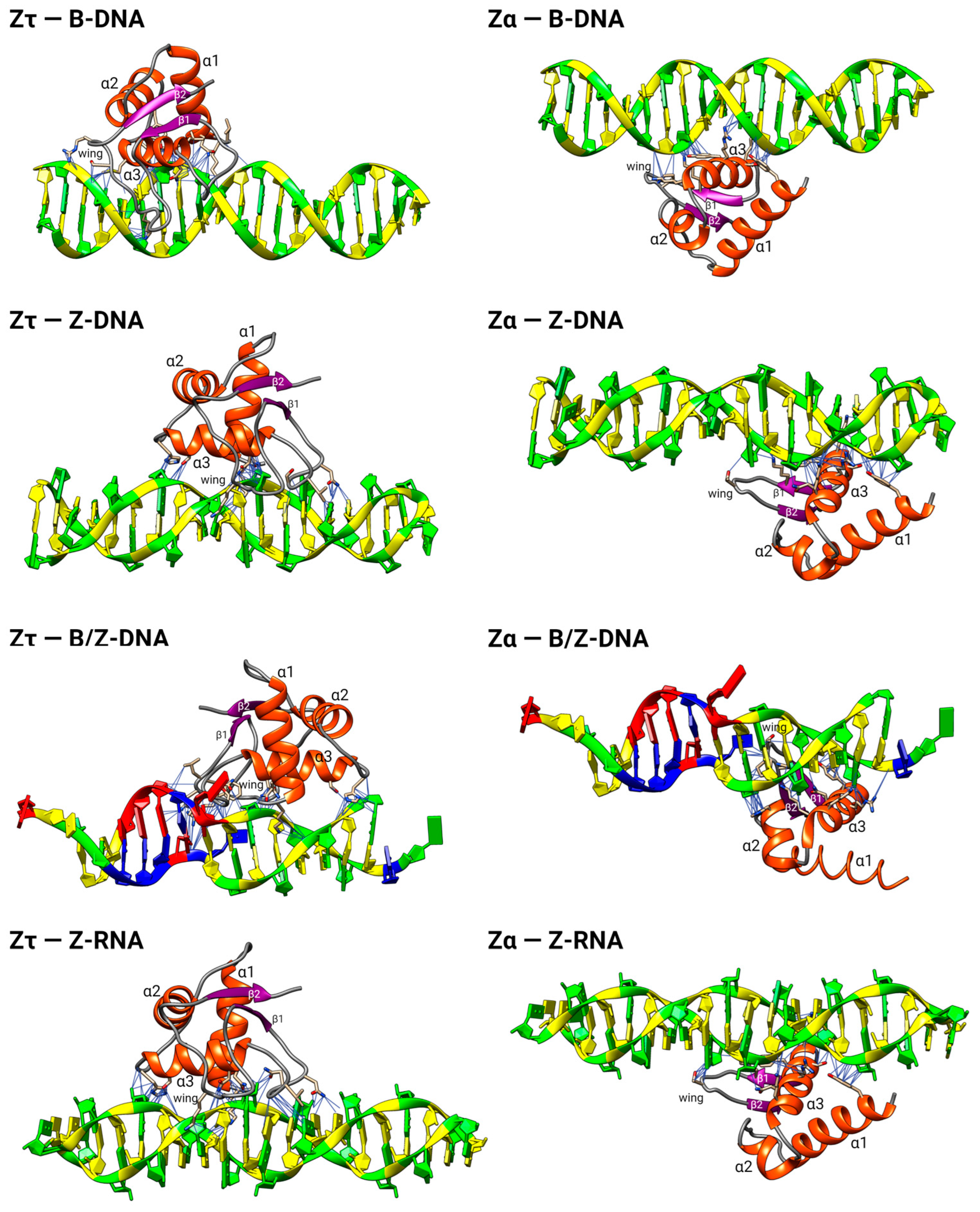 Ijms 24 10740 g008 Ijms 24 10740 g008