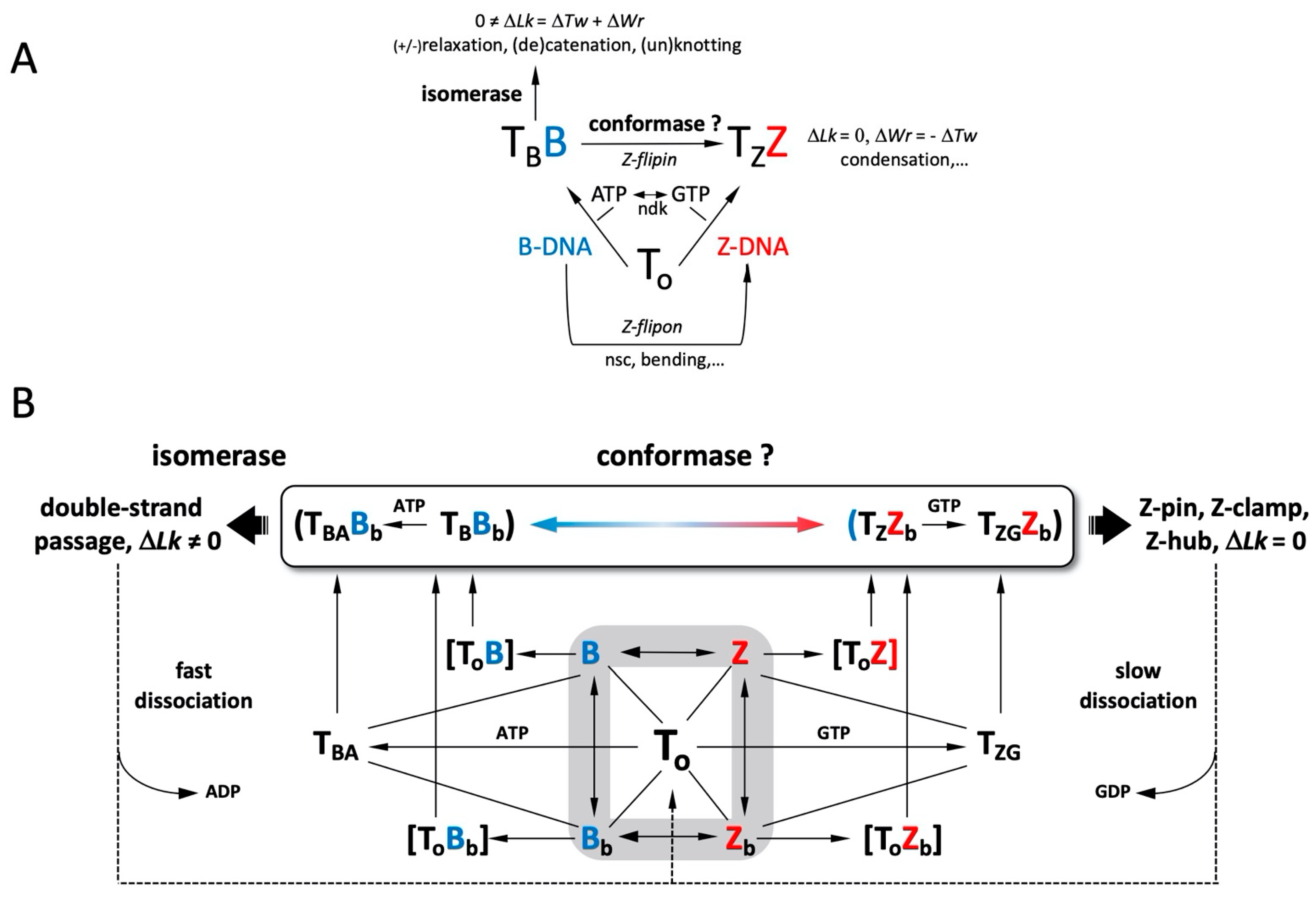 Ijms 24 10740 g009 Ijms 24 10740 g009