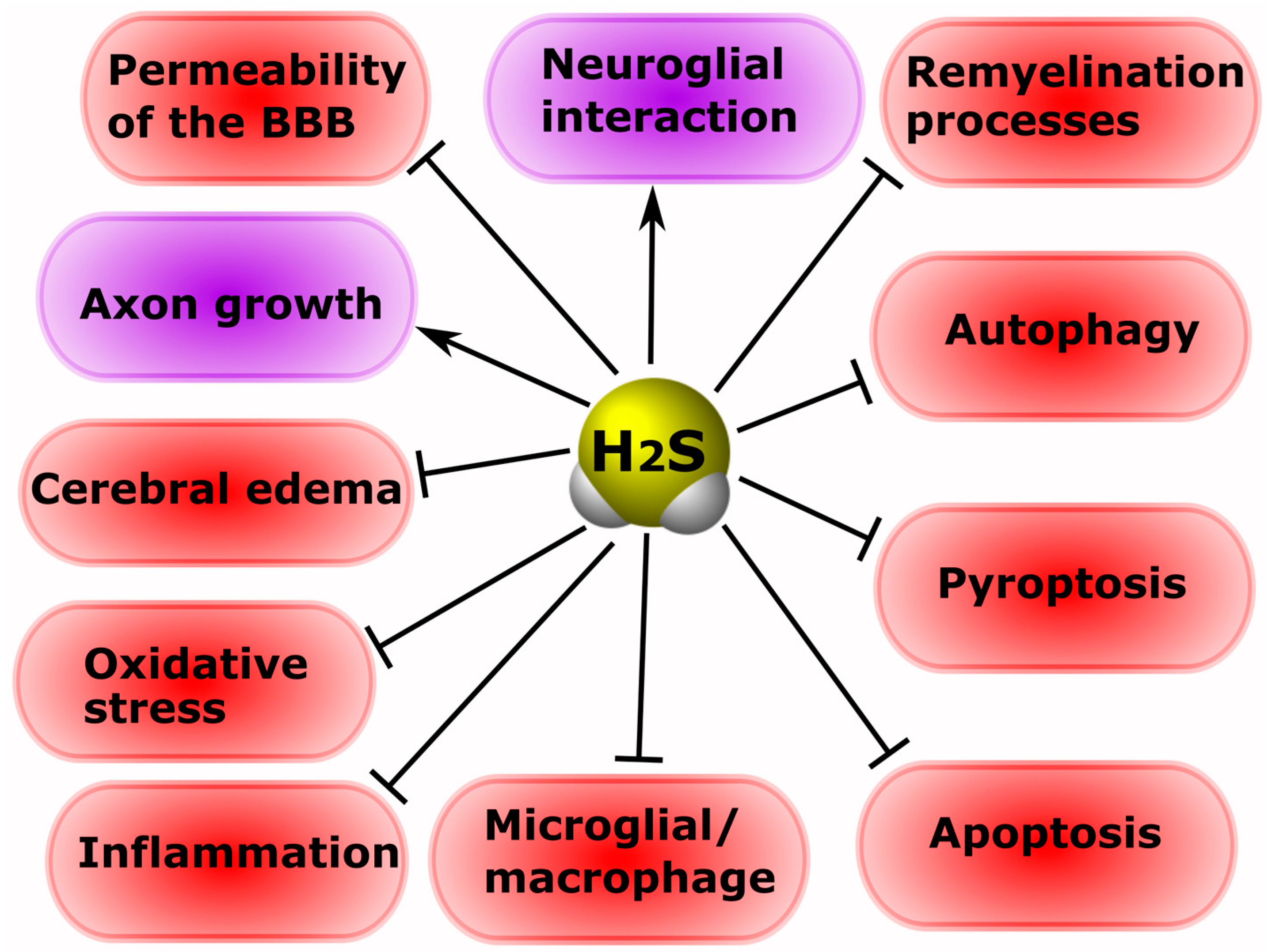 https://www.mdpi.com/ijms/ijms-24-10742/article_deploy/html/images/ijms-24-10742-g004.png