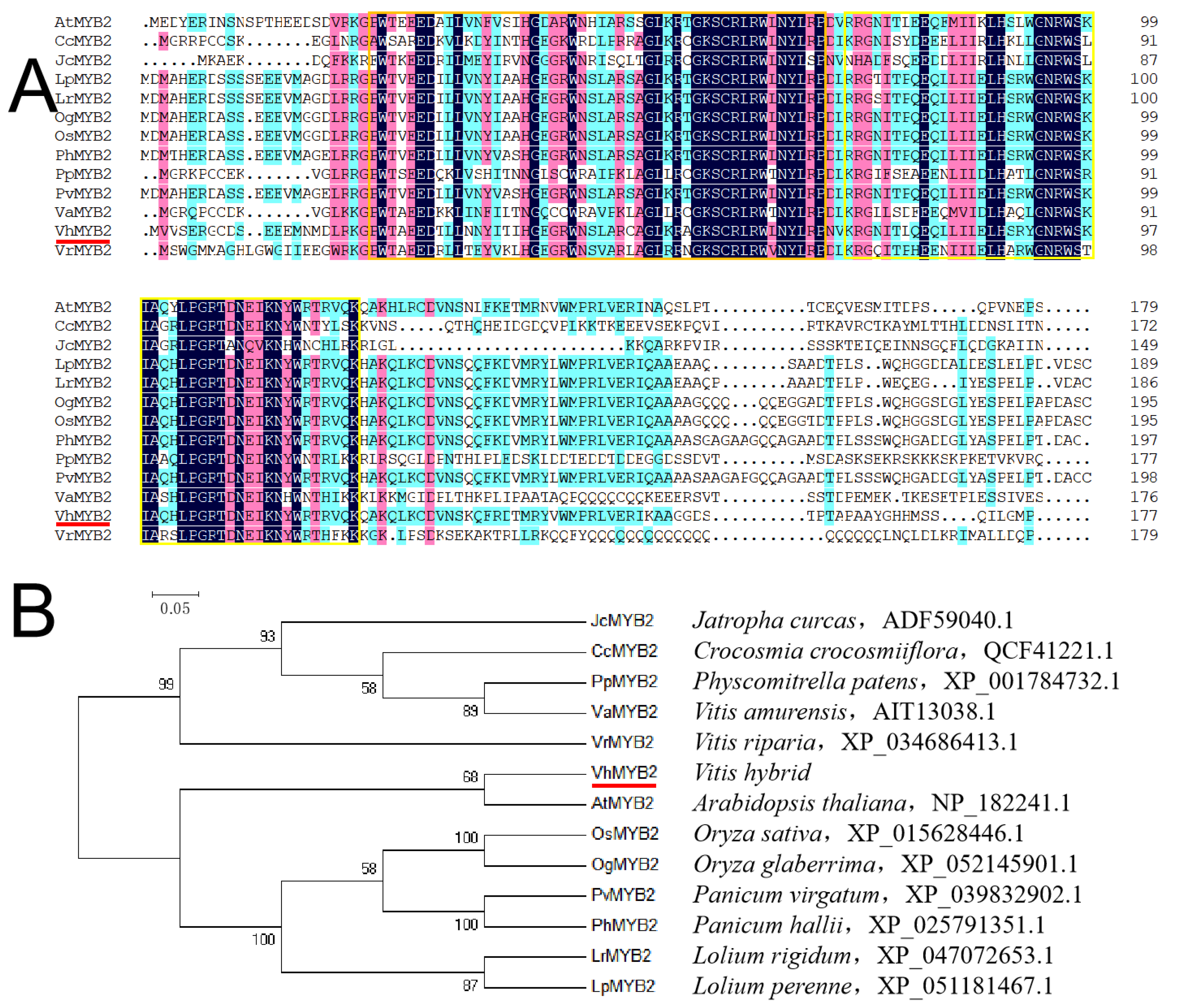 Ijms 24 10743 g002 Ijms 24 10743 g002