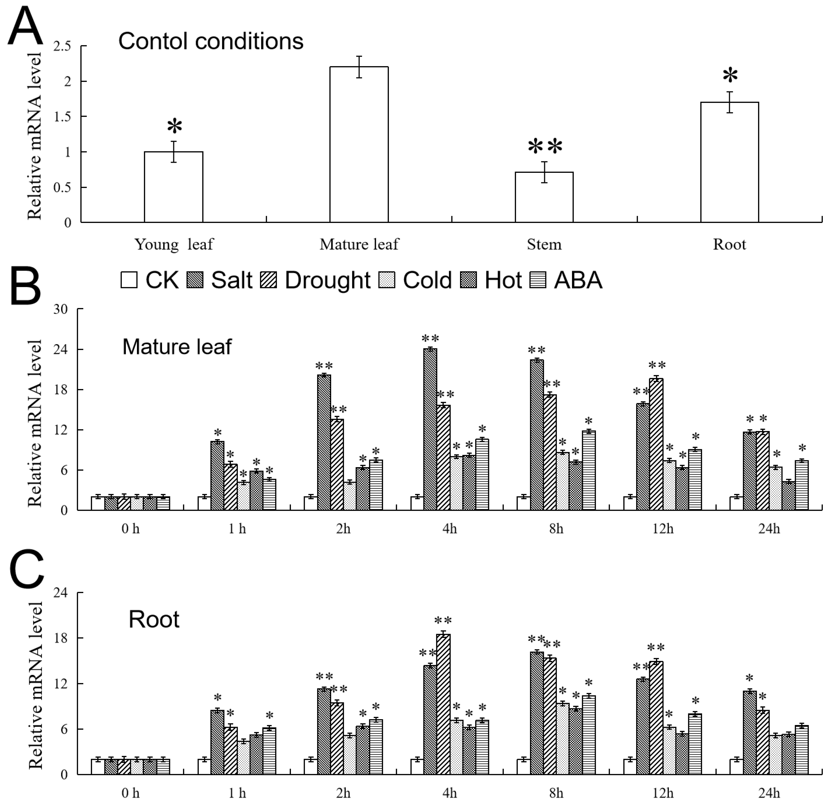Ijms 24 10743 g005 Ijms 24 10743 g005