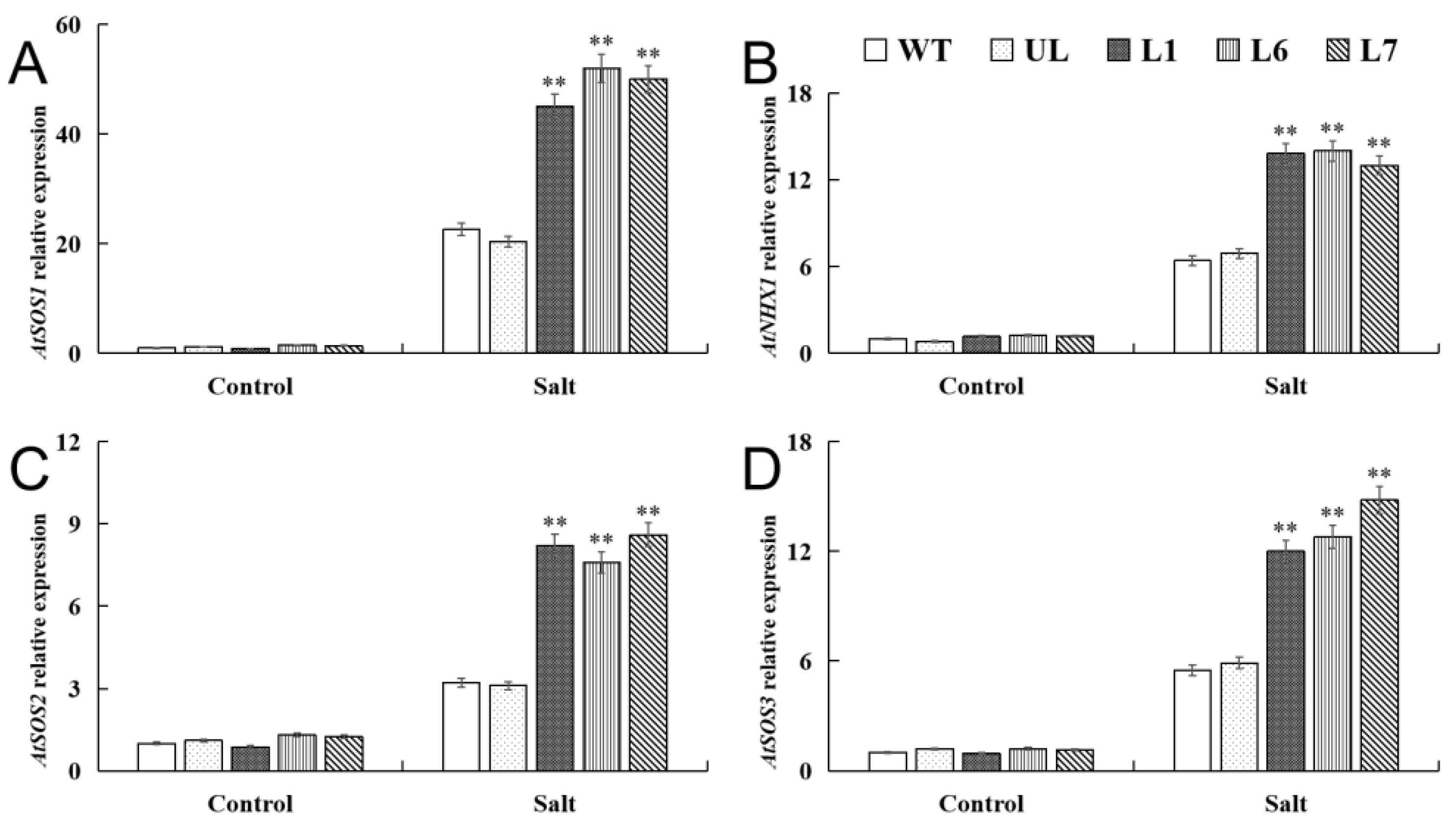 Ijms 24 10743 g008 Ijms 24 10743 g008