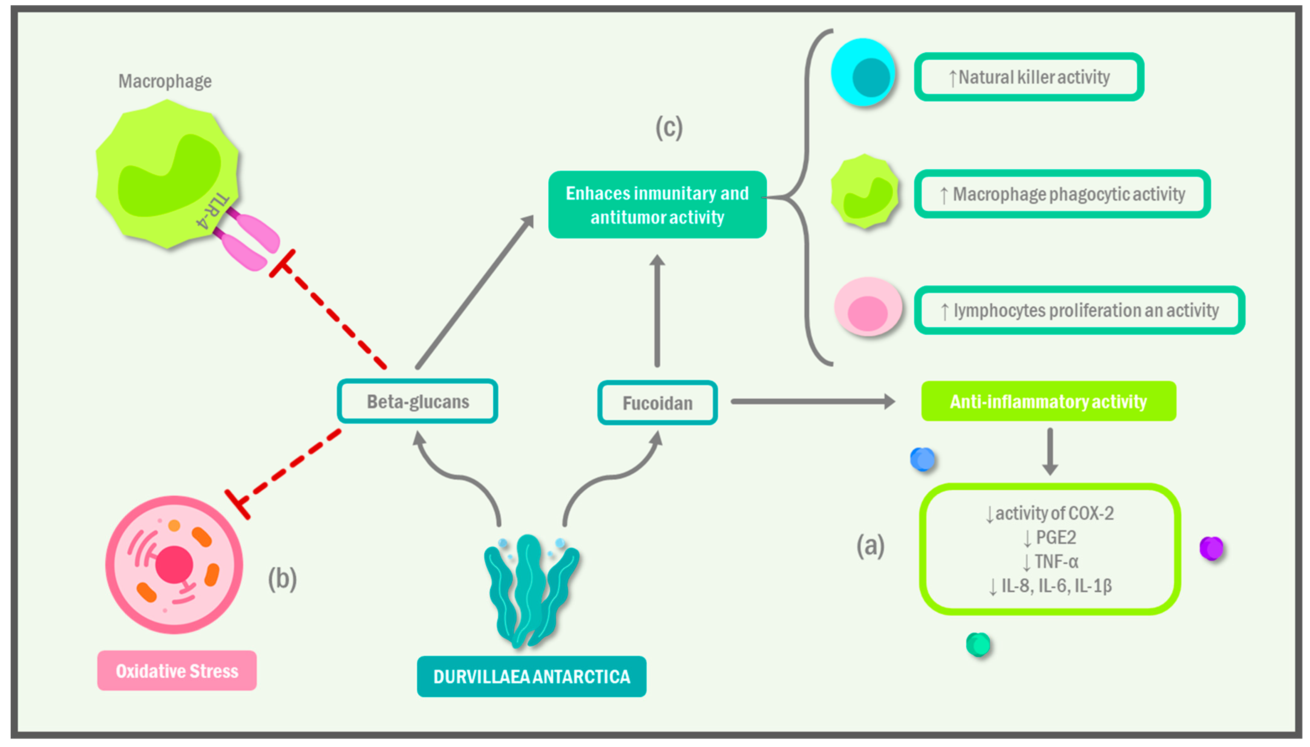 Ijms 24 10779 g001 Ijms 24 10779 g001