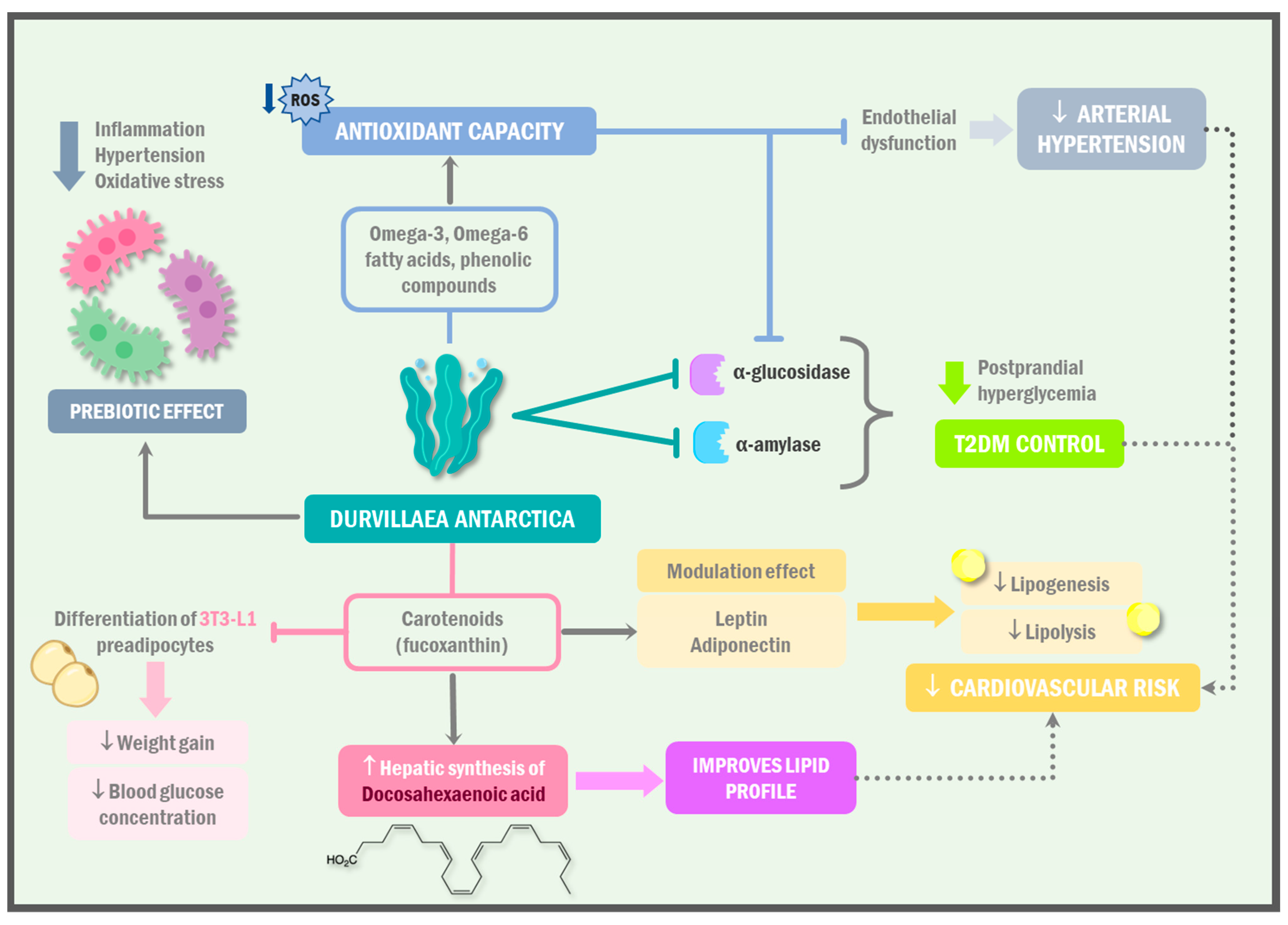 Ijms 24 10779 g003 Ijms 24 10779 g003