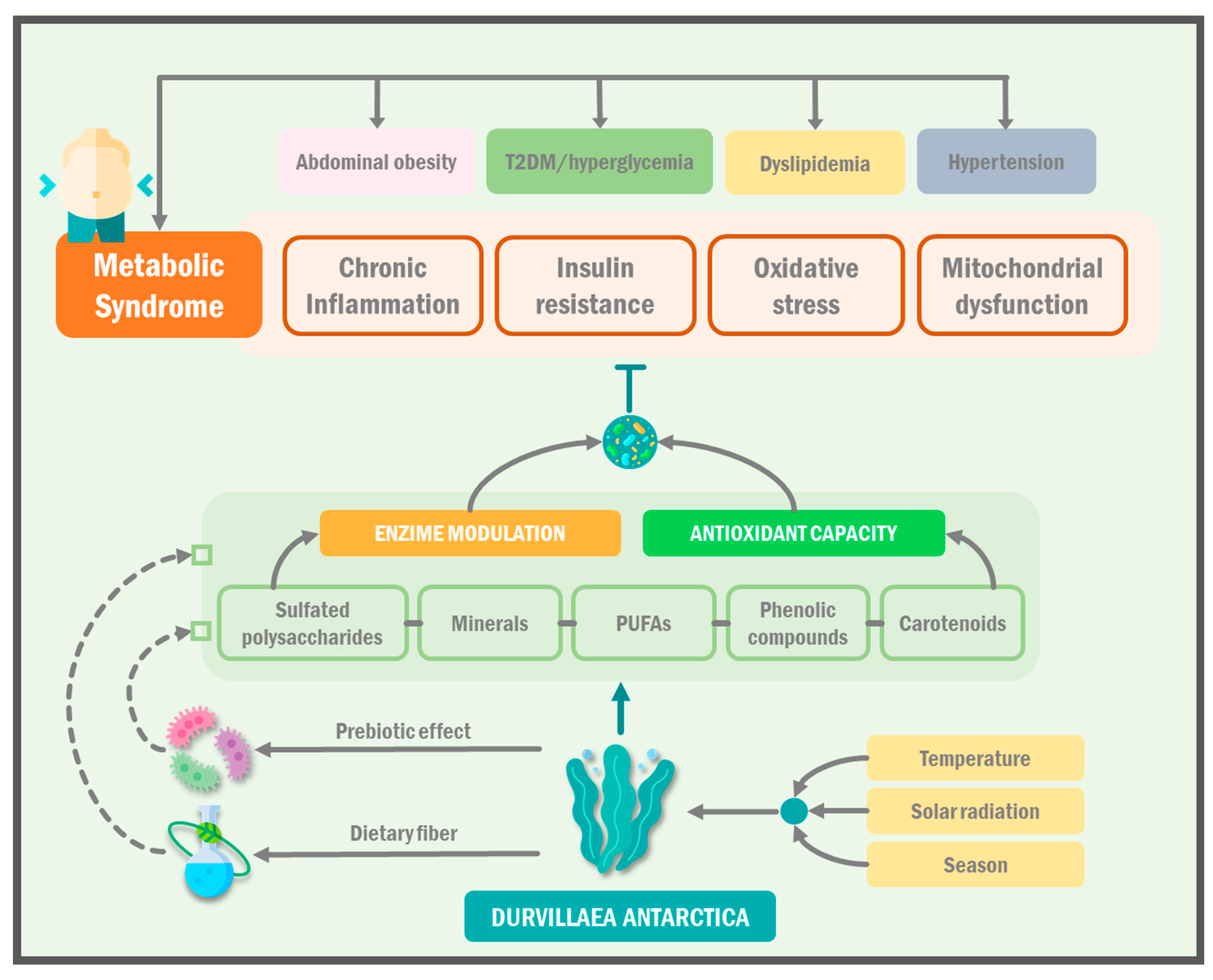 Ijms 24 10779 g004 Ijms 24 10779 g004