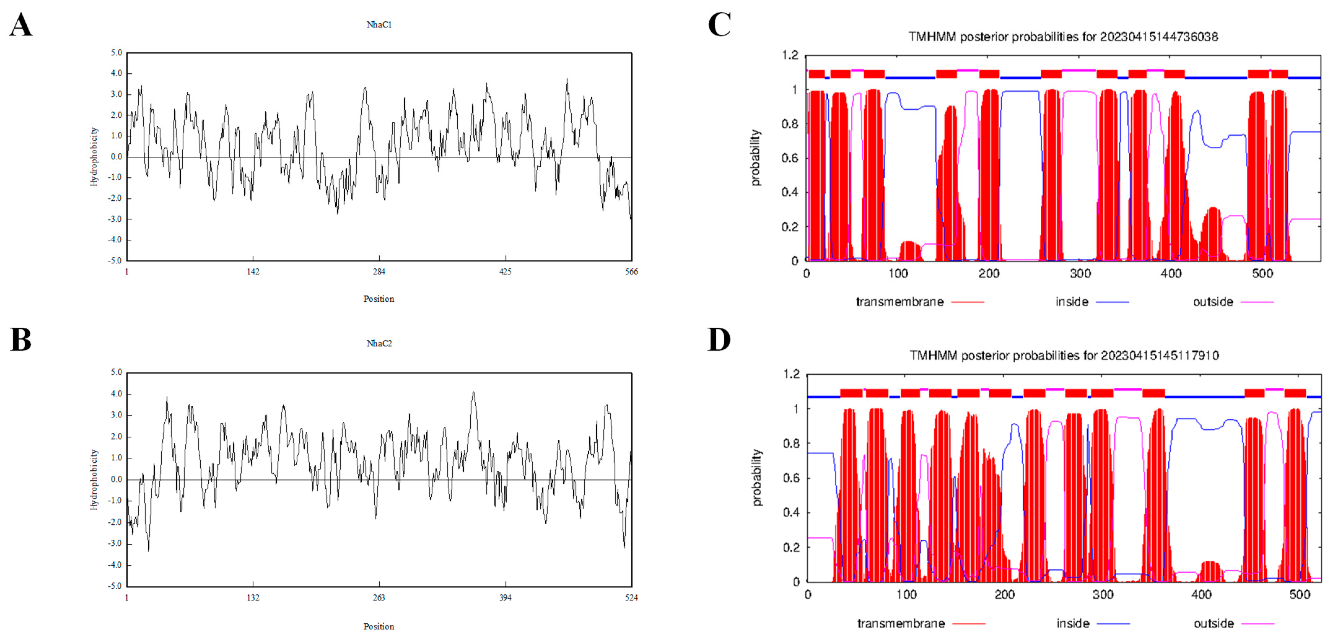 Ijms 24 10786 g002 Ijms 24 10786 g002